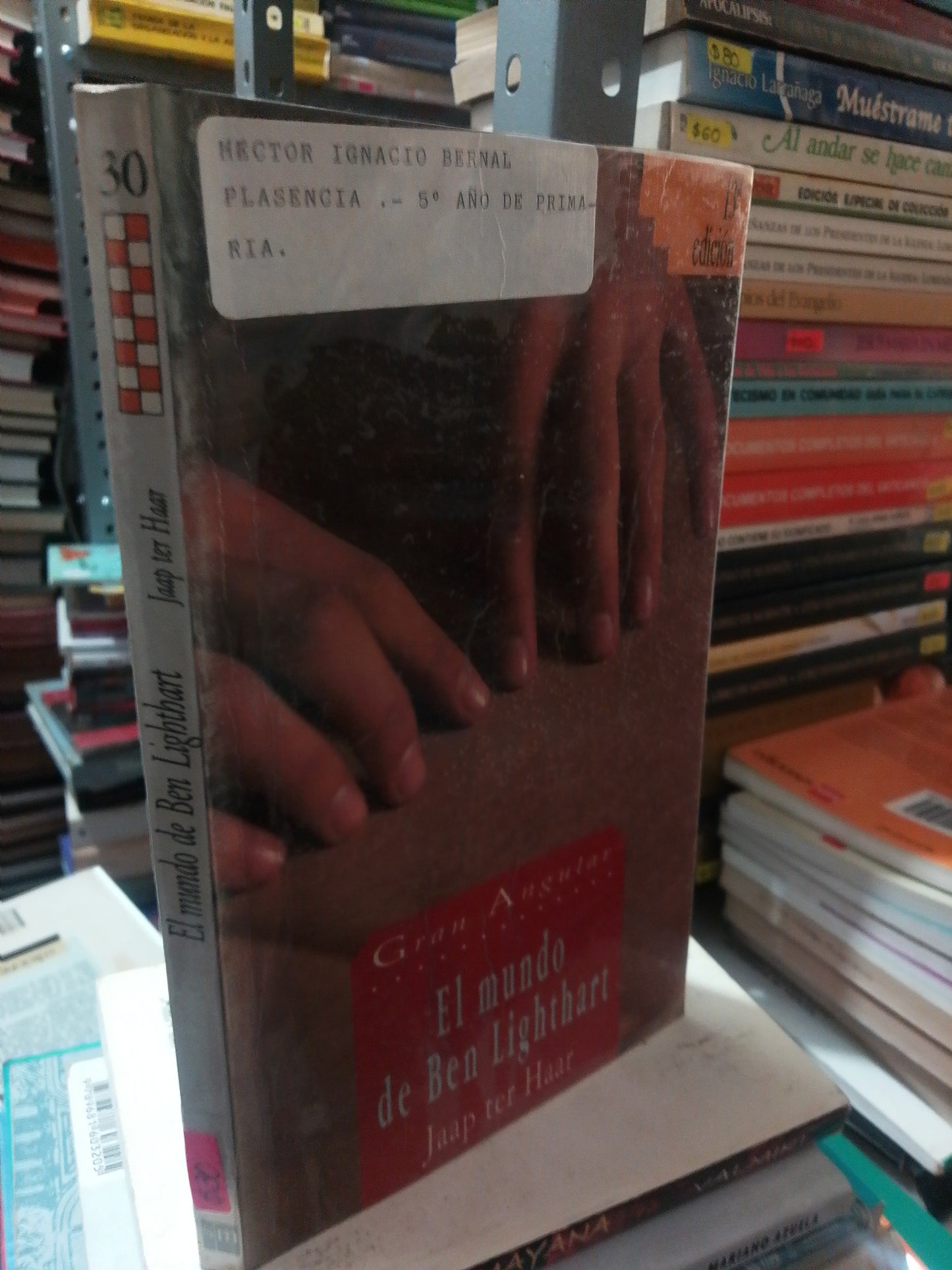 EL MUNDO DE BEN LIGHTHART POR JAAP TER HAAR USADO NOVELA JUAREZ