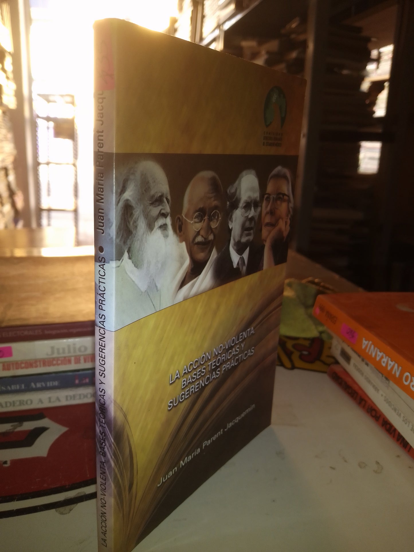 LA ACCIÓN NO VIOLENTA BASES TEORICAS Y SUGERENCIAS PRACTICAS POR JUAN MARIA PARENT USADO POLÍTICA LITERARIO 207