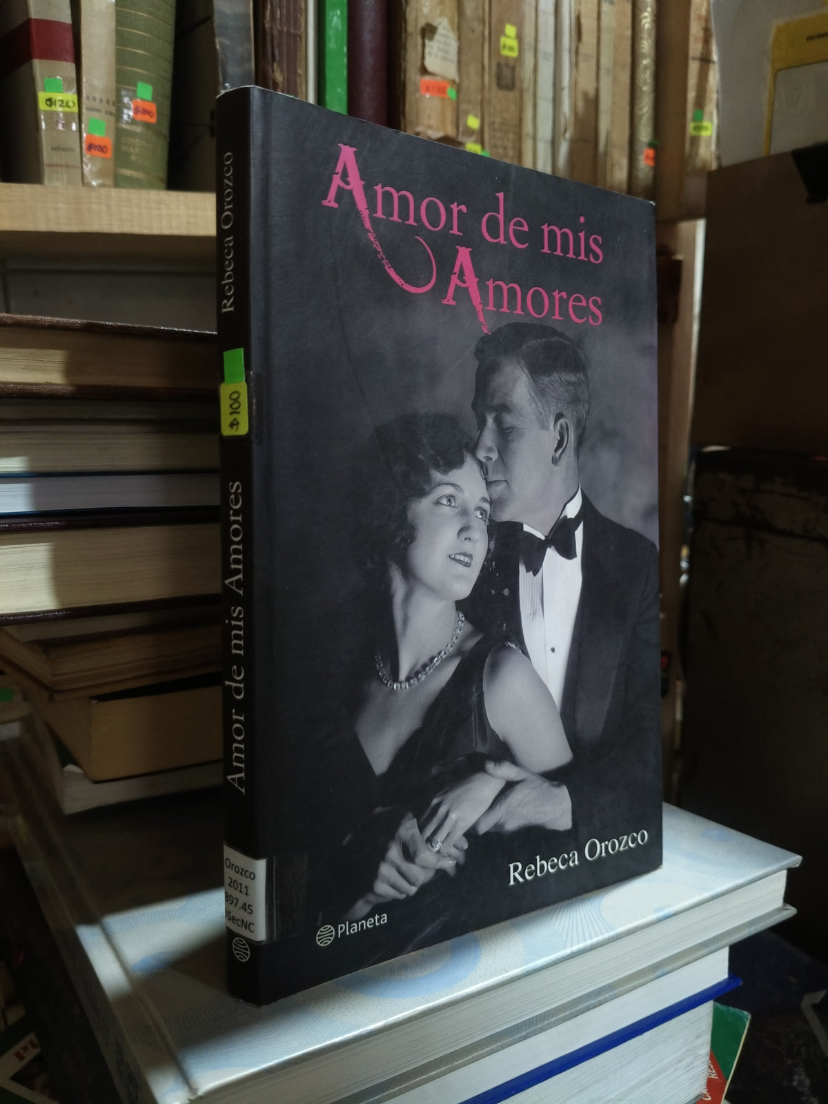 AMOR DE MIS AMORES POR REBECA OROZCO USADO NOVELA ALDAMA