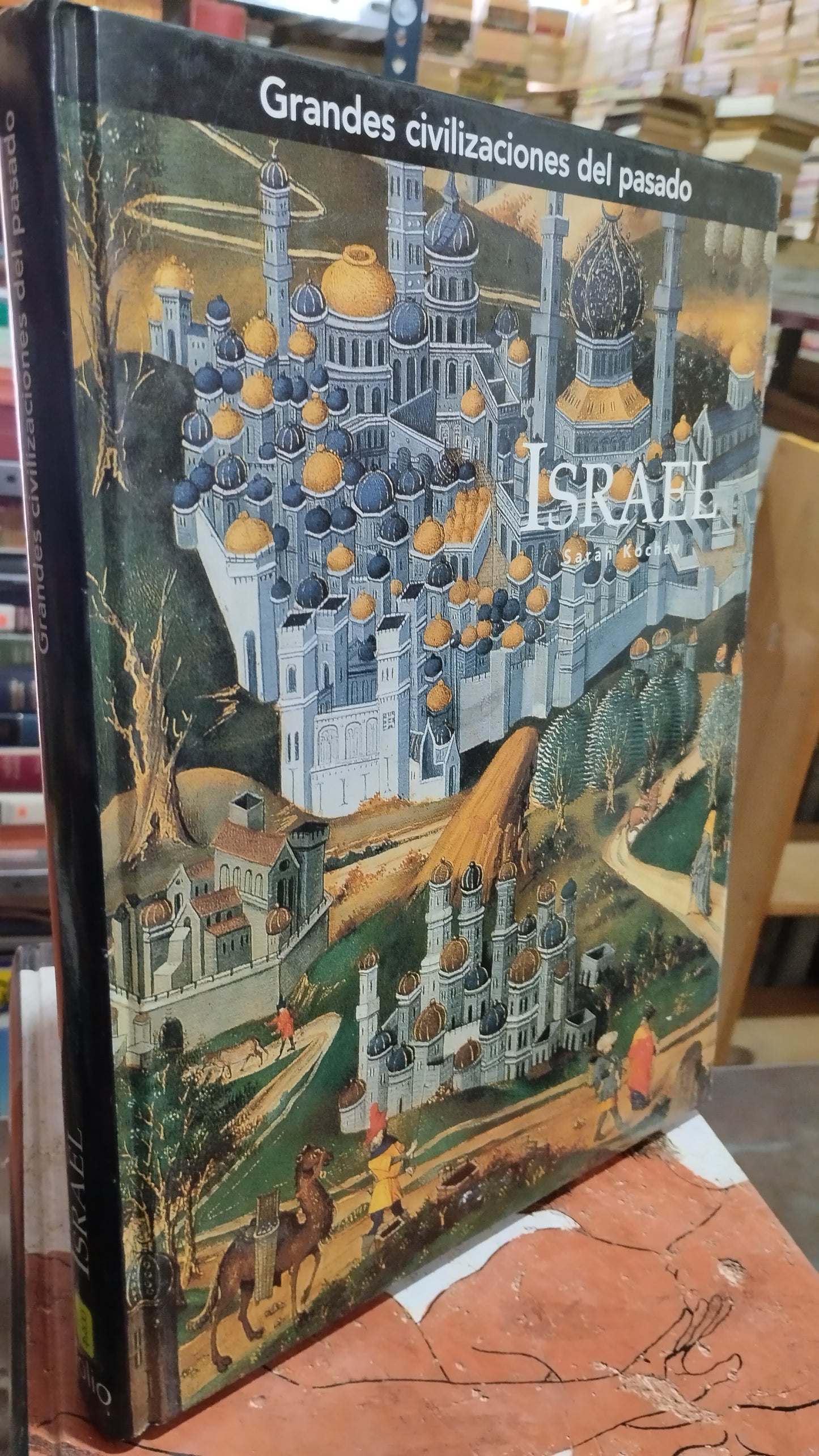 ISRAEL POR SARAH KOCHAV LIBRO USADO HISTORIA ALDAMA