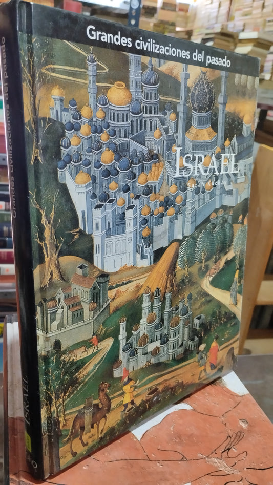 ISRAEL POR SARAH KOCHAV LIBRO USADO HISTORIA ALDAMA