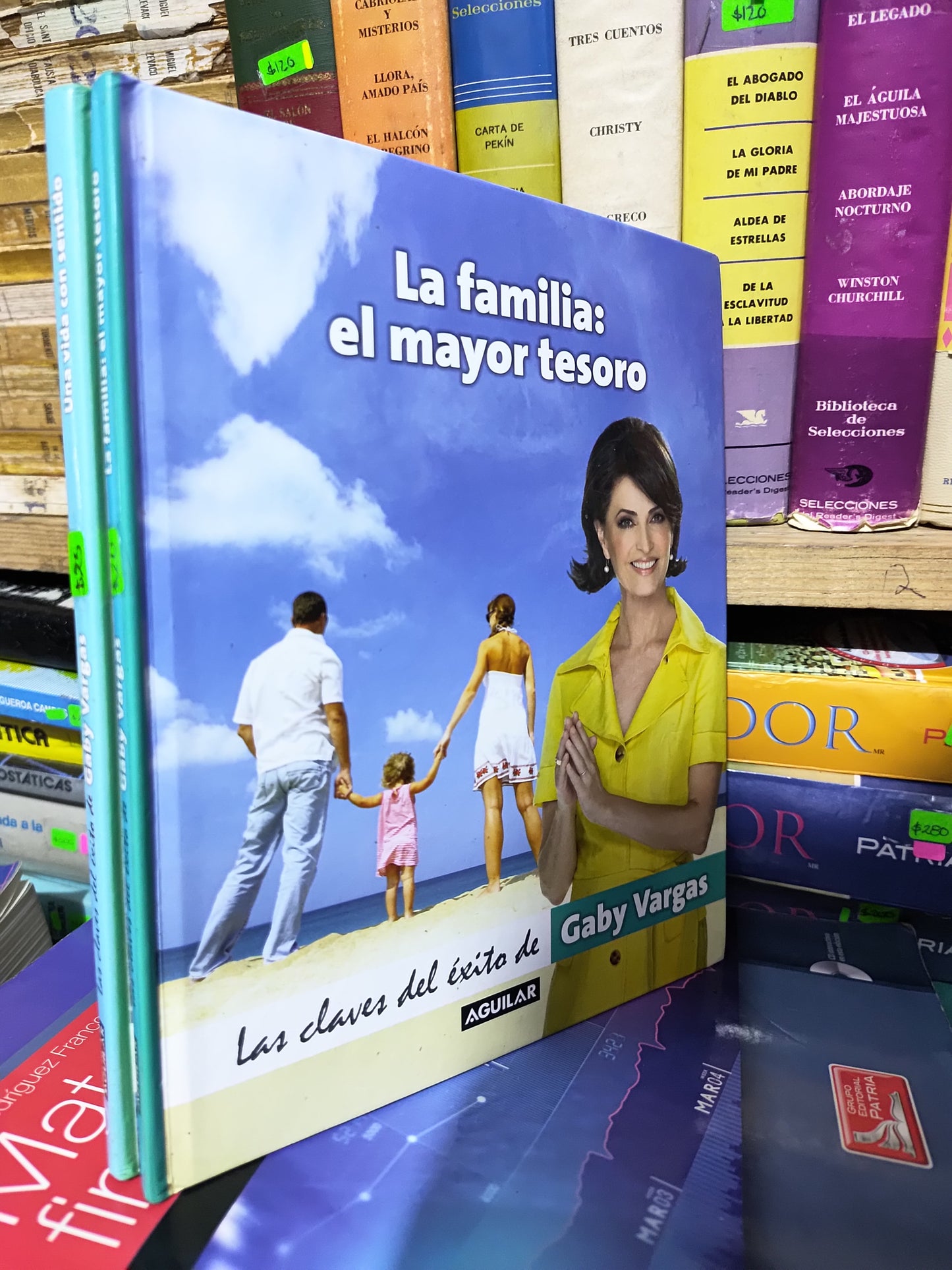 LA FAMILIA EL MAYOR TESORO POR GABY VARGAS USADO SUP PERSONAL JUAREZ 507