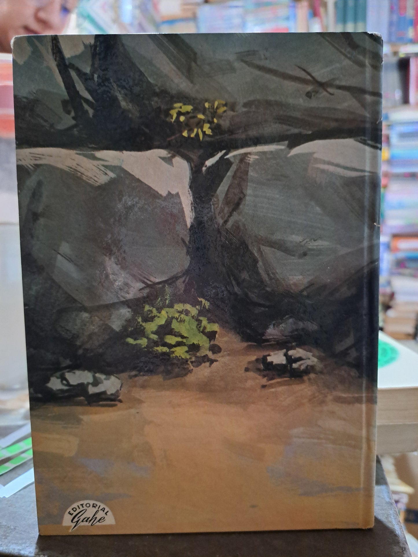 EL CASTILLO DE CLAIRMONT SALGARI USADO NOVELA ALDAMA