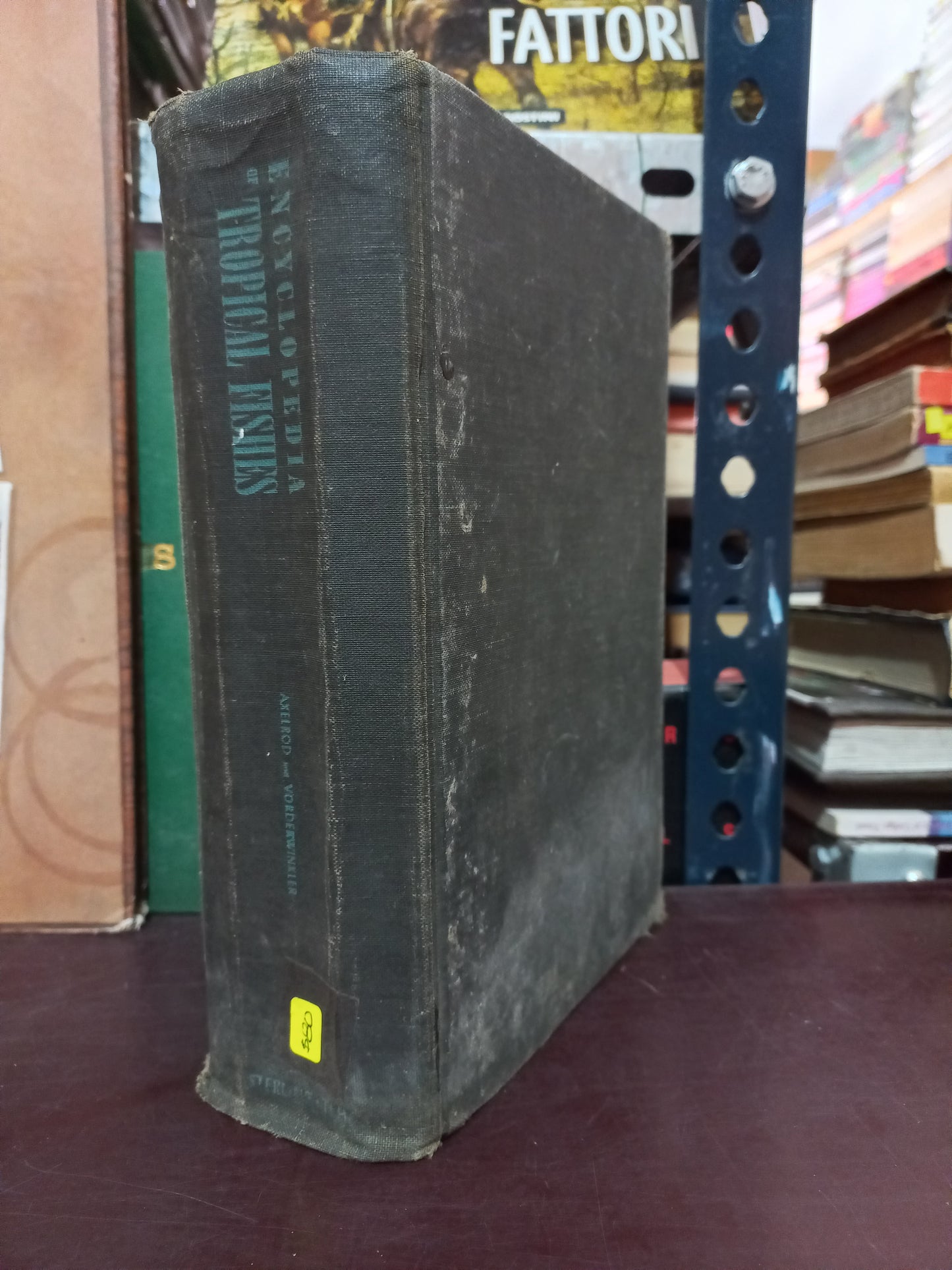 ENCYCLOPEDIA OF TROPICAL FISHES POR HERBERT R. AXELROD Y WILLIAM VORDERWINKLER USADO BIOLOGÍA LITERARIO 305