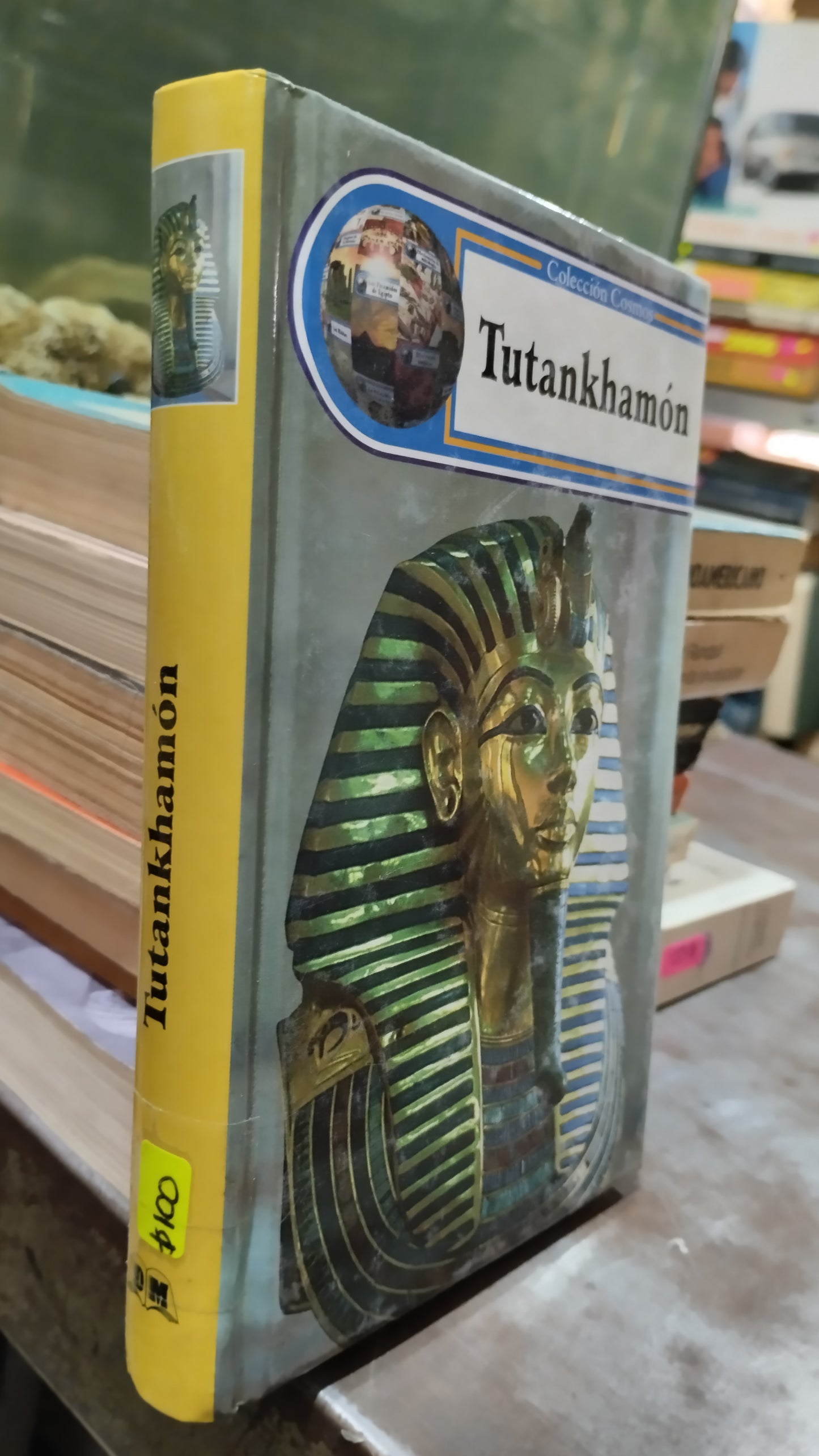 TUTANKHAMON LIBRO USADO HISTORIA ALDAMA