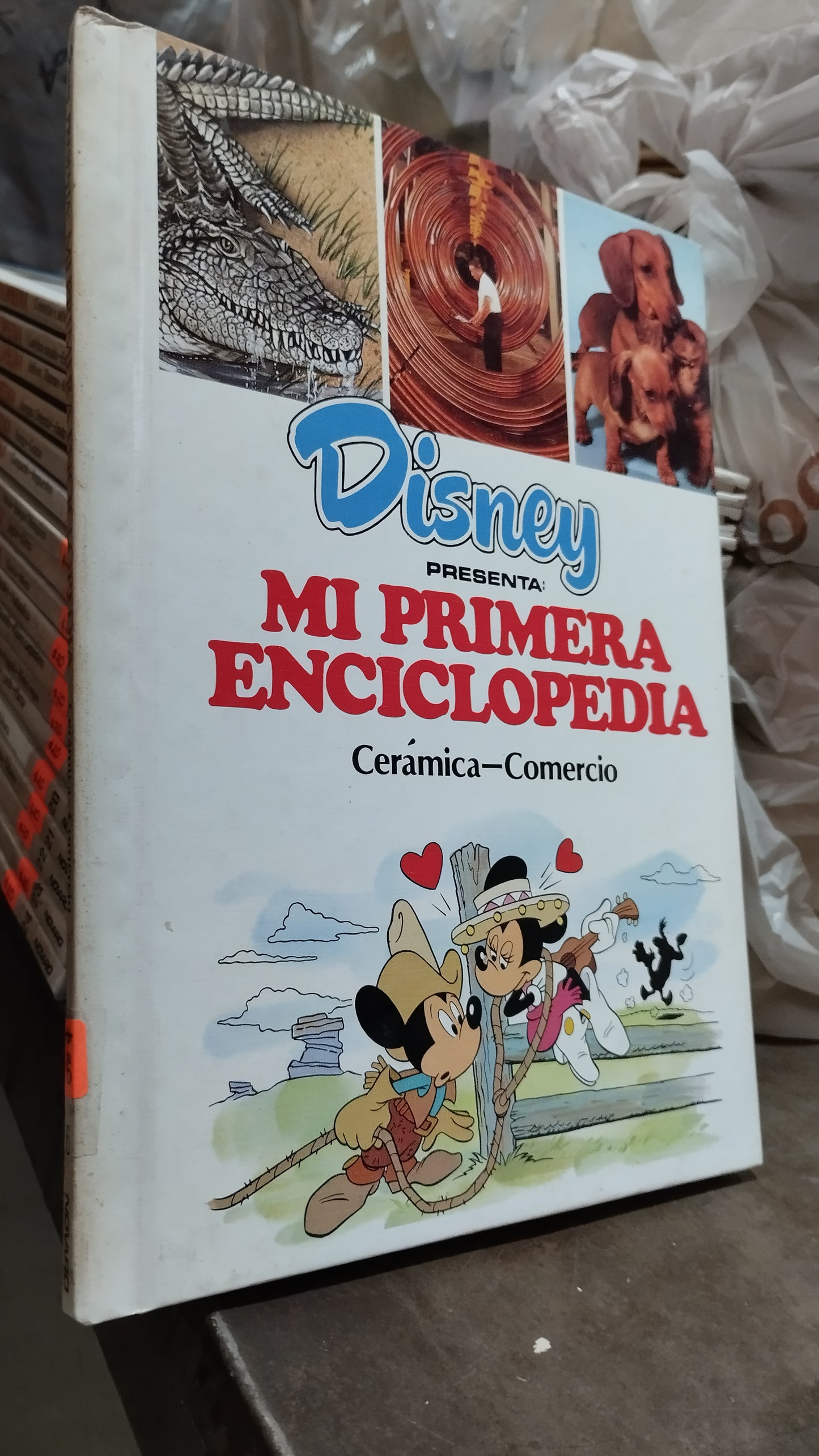 MI PRIMERA ENCICLOPEDIA CERAMICA COMERCIO LIBRO USADO INFANTIL ALDAMA