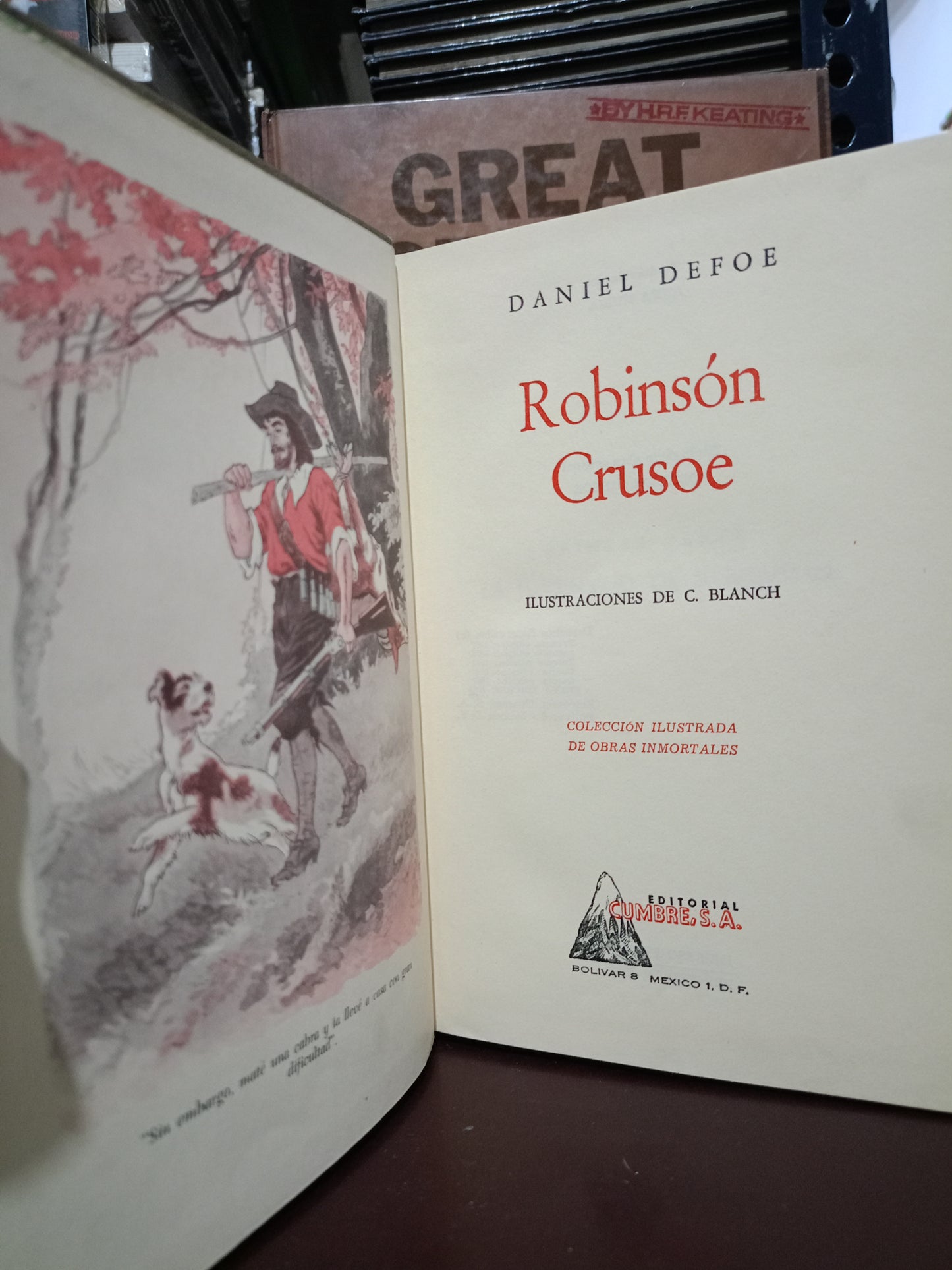 ROBINSON CRUSOE DANIEL DEFOE USADO NOVELA LITERARIO 305