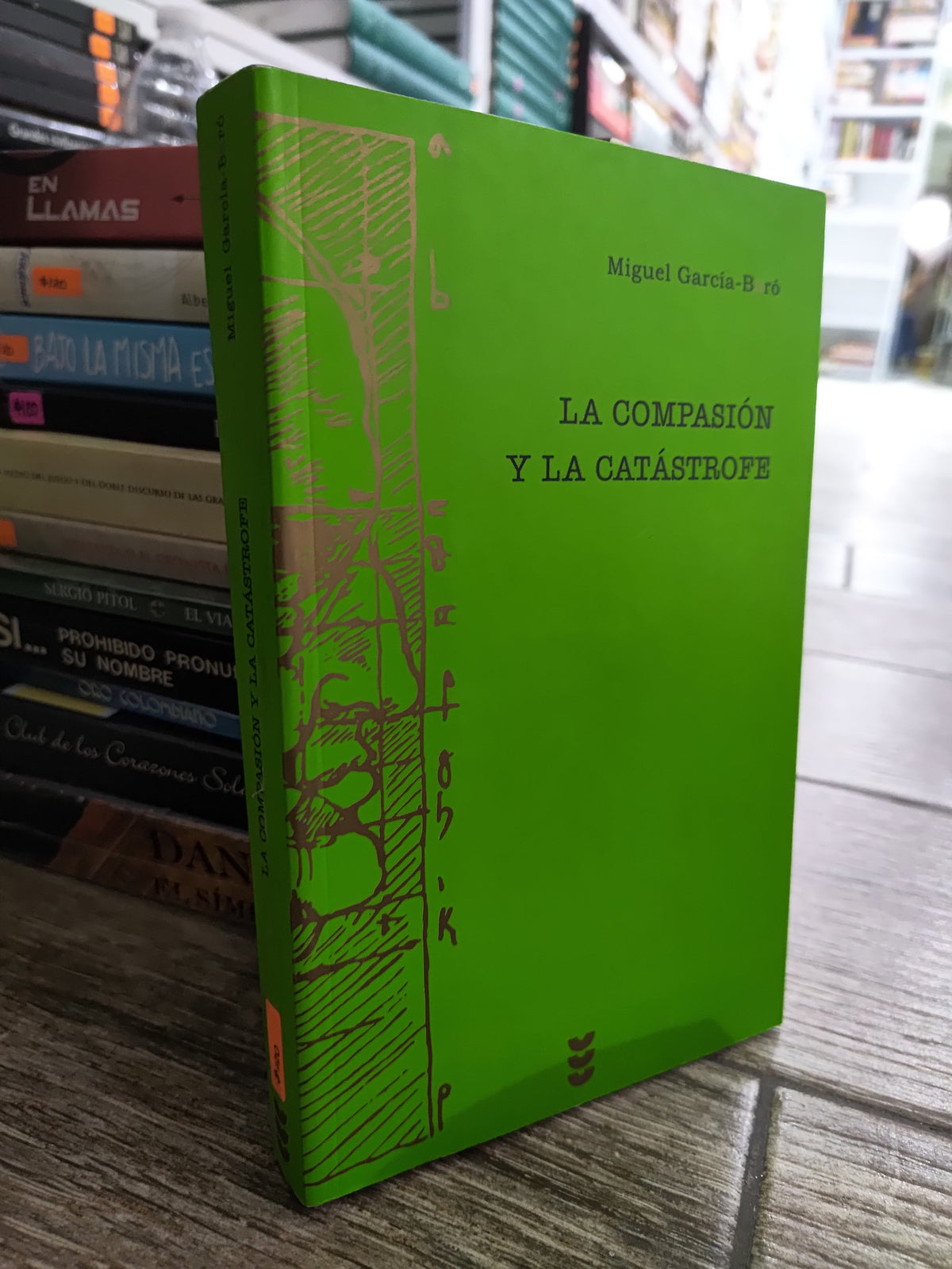 LA COMPOSICION Y LA CATASTROFE POR MIGUEL GARCIA BARO USADO NOVELAS JUAREZ 515