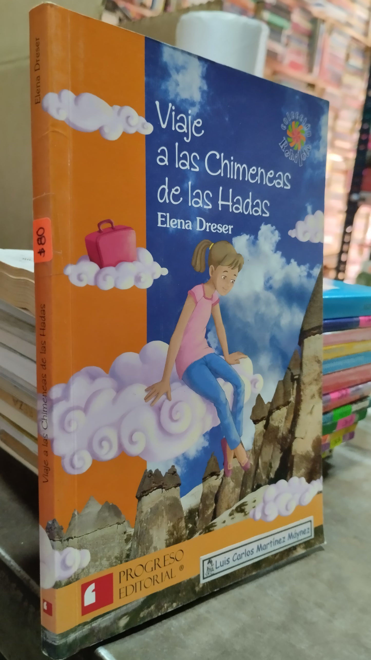 VIAJE A LAS CHIMENEAS DE LAS HADAS POR ELENA DRESER LIBRO USADO INFANTIL ALDAMA