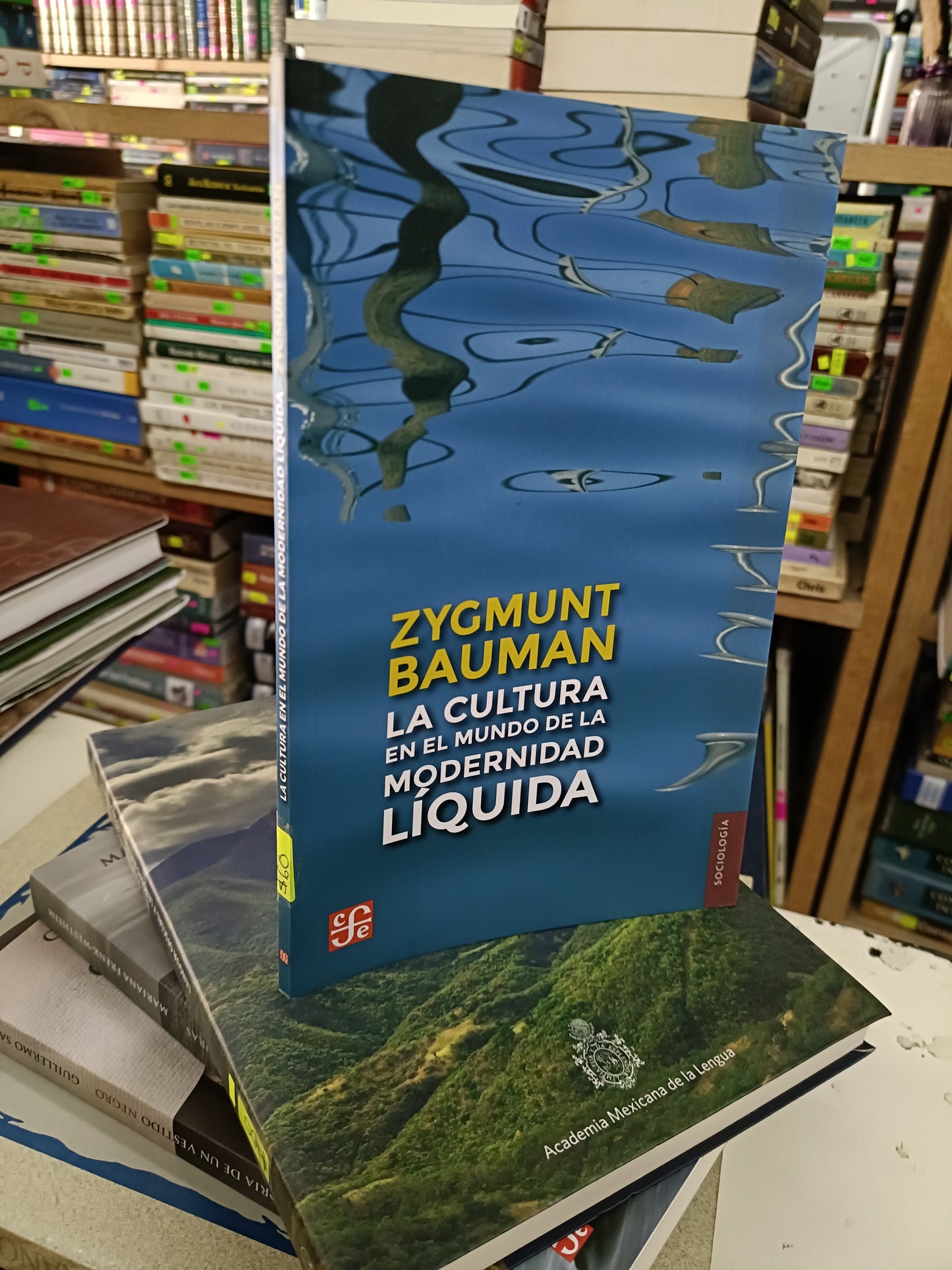 LA CULTURA EN EL MUNDO DE LA MODERNIDAD LIQUIDA POR ZYGMUNT BAUMAN USADO SOCIOLOGÍA LITERARIO 207
