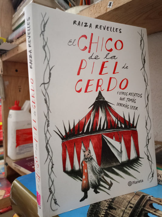 EL CHICO DE LA PIEL DE CERDO POR RAIZA REVELLES USADO NOVELA LITERARIO 305