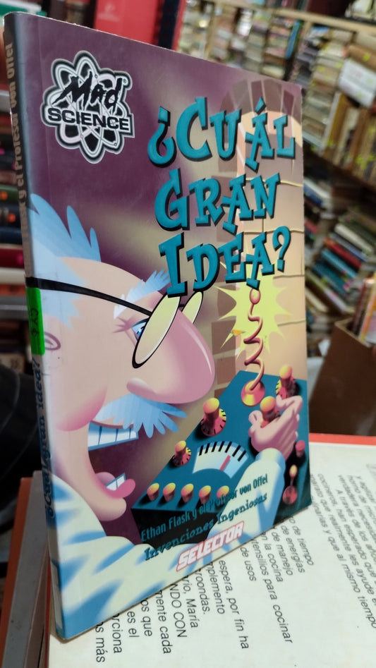 CUAL GRAN IDEA POR ETHAN FLASK LIBRO USADO COCINA ALDAMA