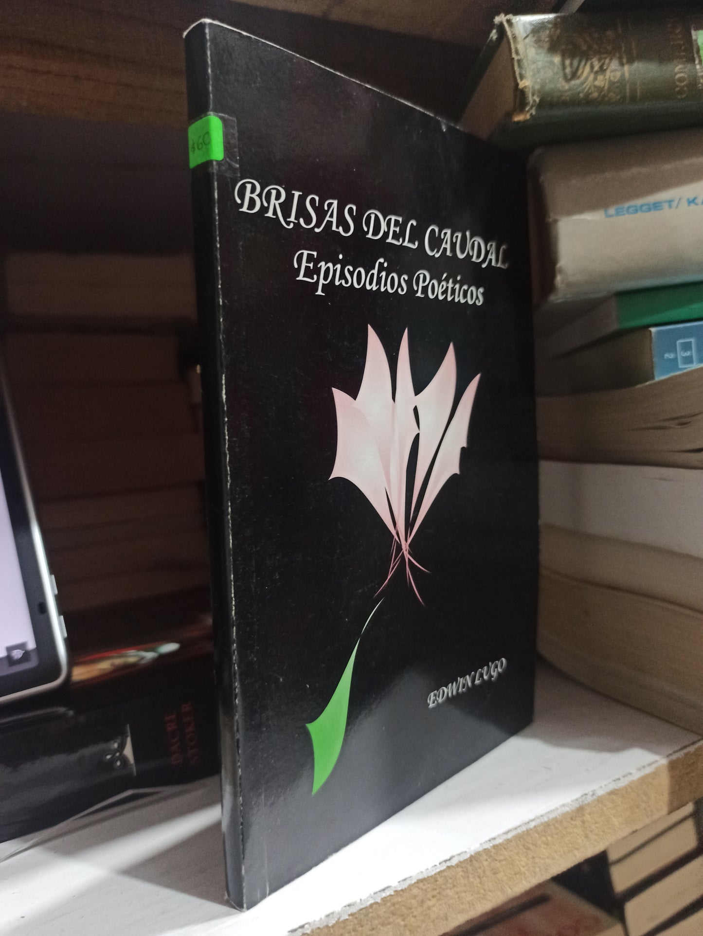 BRISAS DEL CAUDAL POR EDWIN LUGO USADO POESÍA JUÁREZ