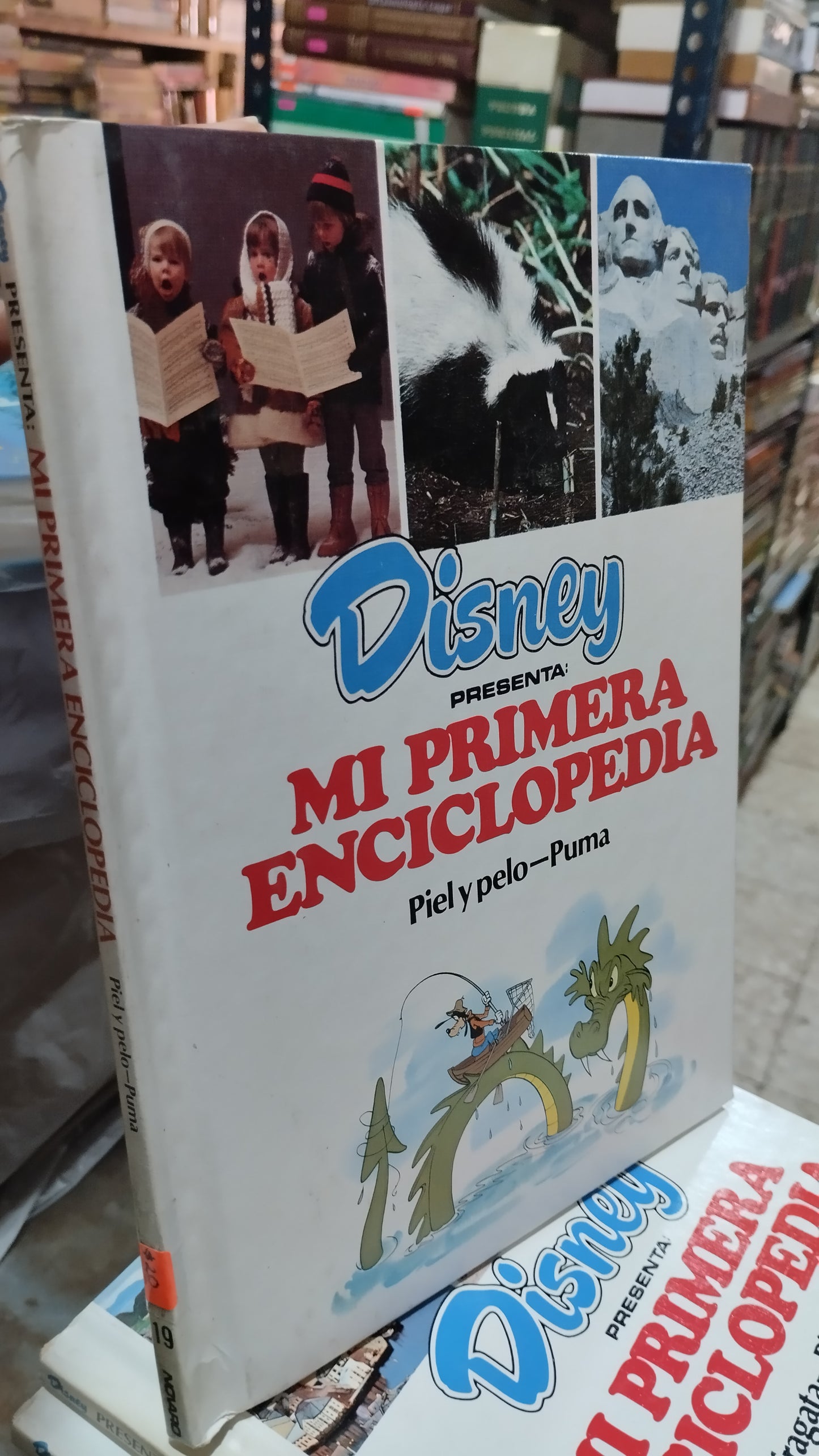 MI PRIMERA ENCICLOPEDIA PIEL Y PELO PUMA LIBRO USADO INFANTIL ALDAMA