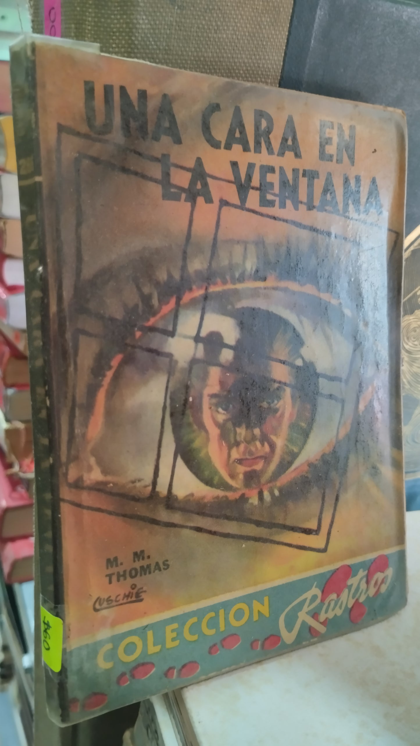 UNA CARA EN LA VENTANA POR MAUDE M THOMAS LIBRO USADO NOVELAS ALDAMA