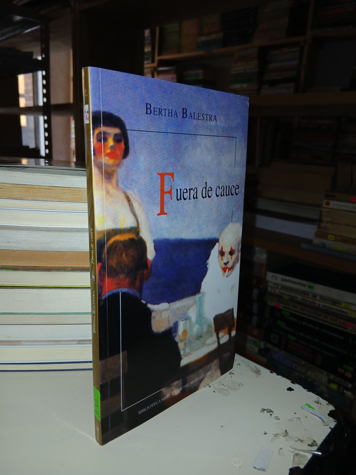 FUERA DE CAUCE POR BERTHA BALESTRA USADO NOVELA LITERARIO 207
