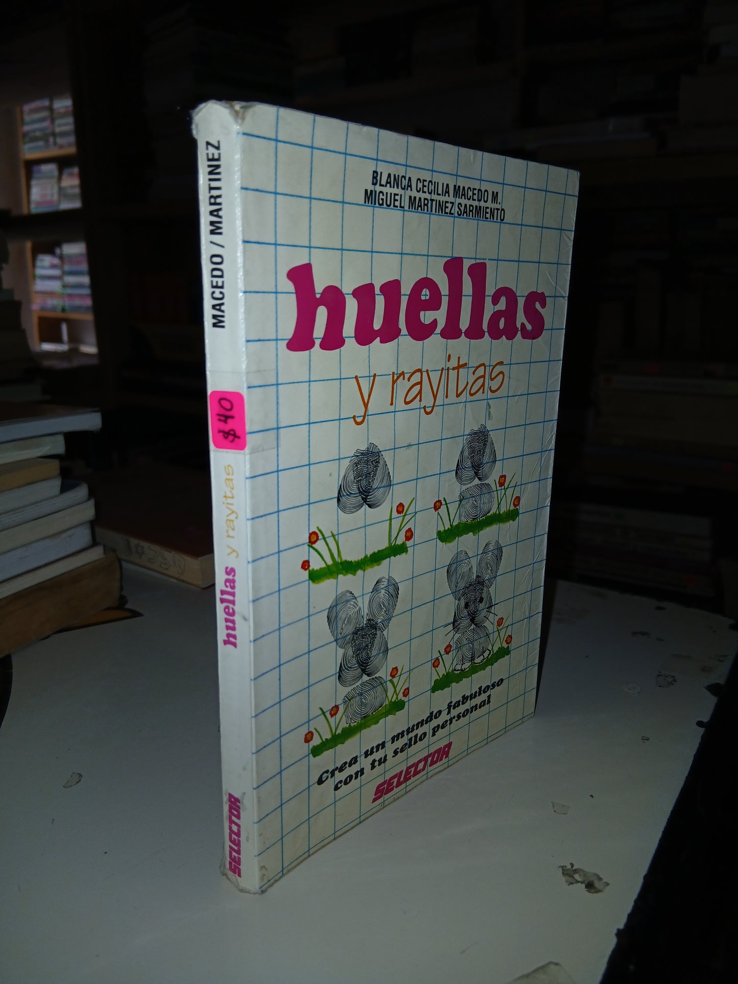 HUELLAS Y RAYITAS POR BLANCA CECILIA MACEDO M. Y MIGUEL MARTÍNEZ SARMIENTO USADO INFANTIL LITERARIO 207