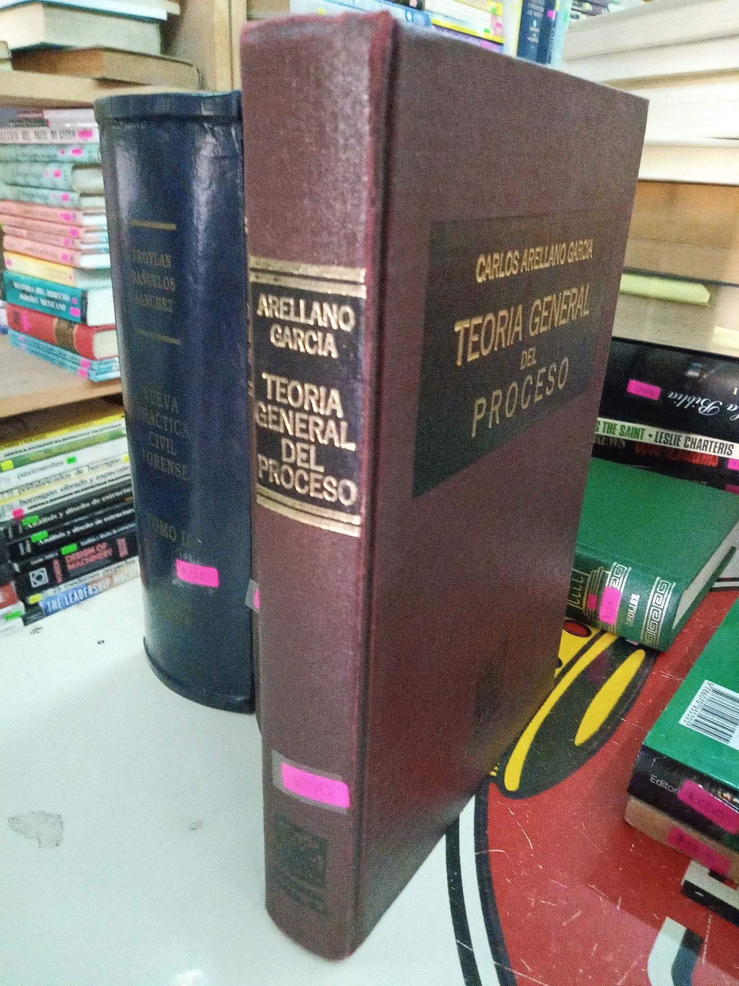 TEORIA GENERAL DEL PROCESO POR CARLOS ARELLANO GARCIA USADO DERECHO LITERARIO 207