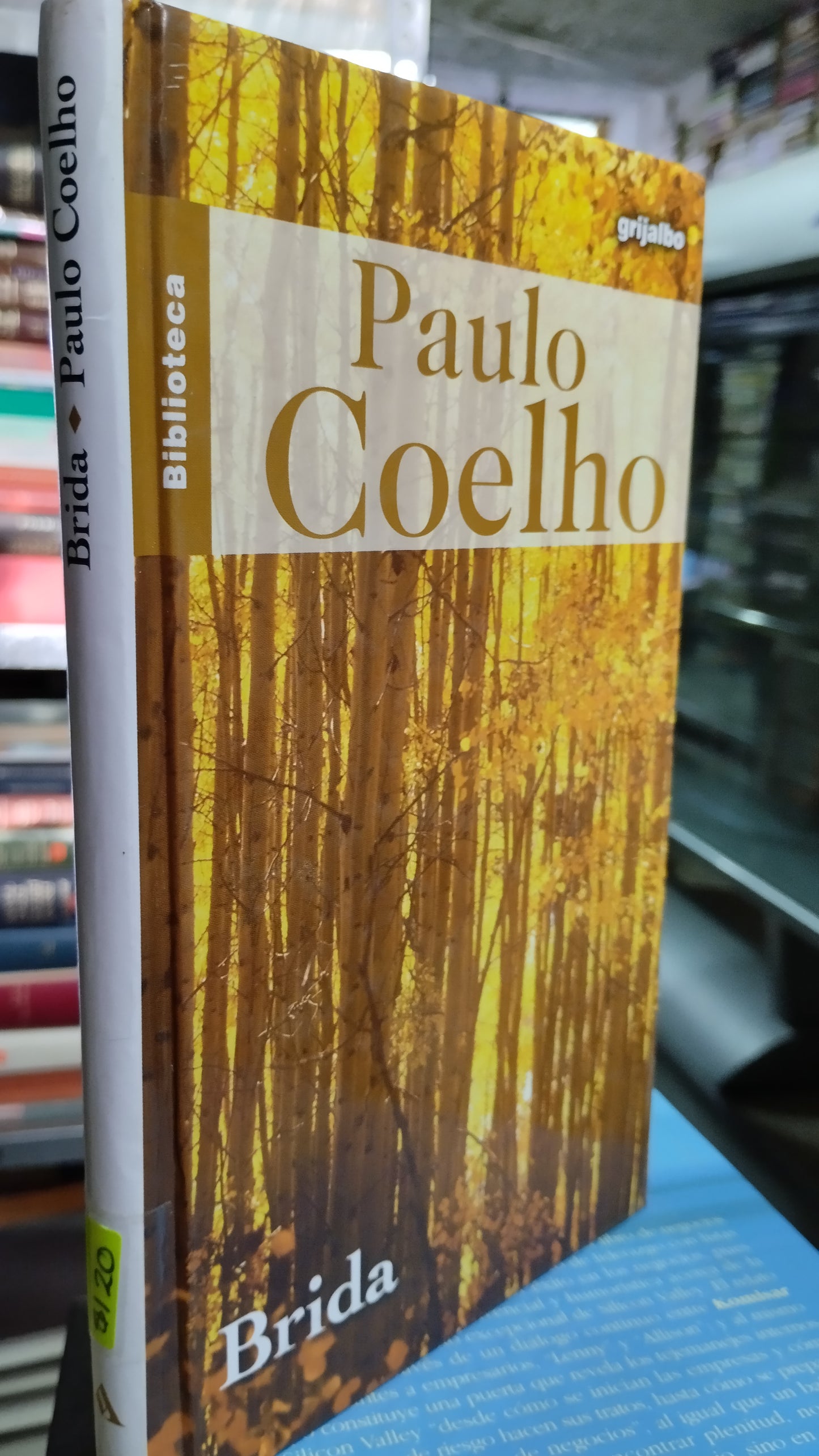 BRIDA POR PAULO COELHO LIBRO USADO SUPERACION PERSONAL ALDAMA