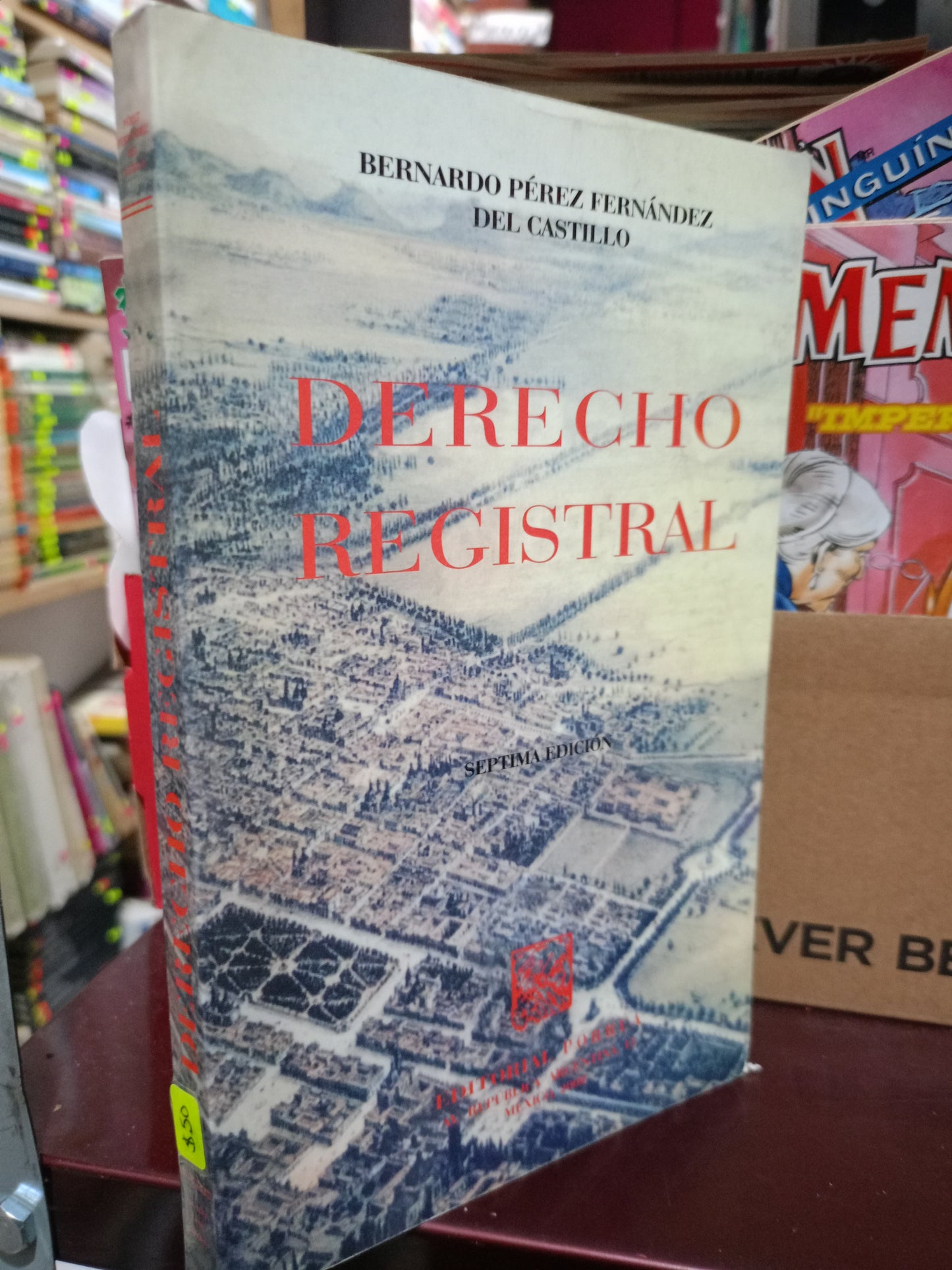 DERECHO REGISTRAL POR BERNARDO PEREZ FERNANDEZ DEL CASTILLO USADO DERECHO LITERARIO 305