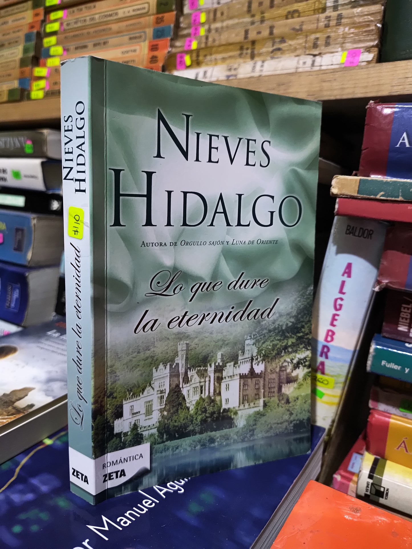 LO QUE DURE LA ETERNIDAD POR NIEVES HIDALGO USADO NOVELAS JUAREZ 507