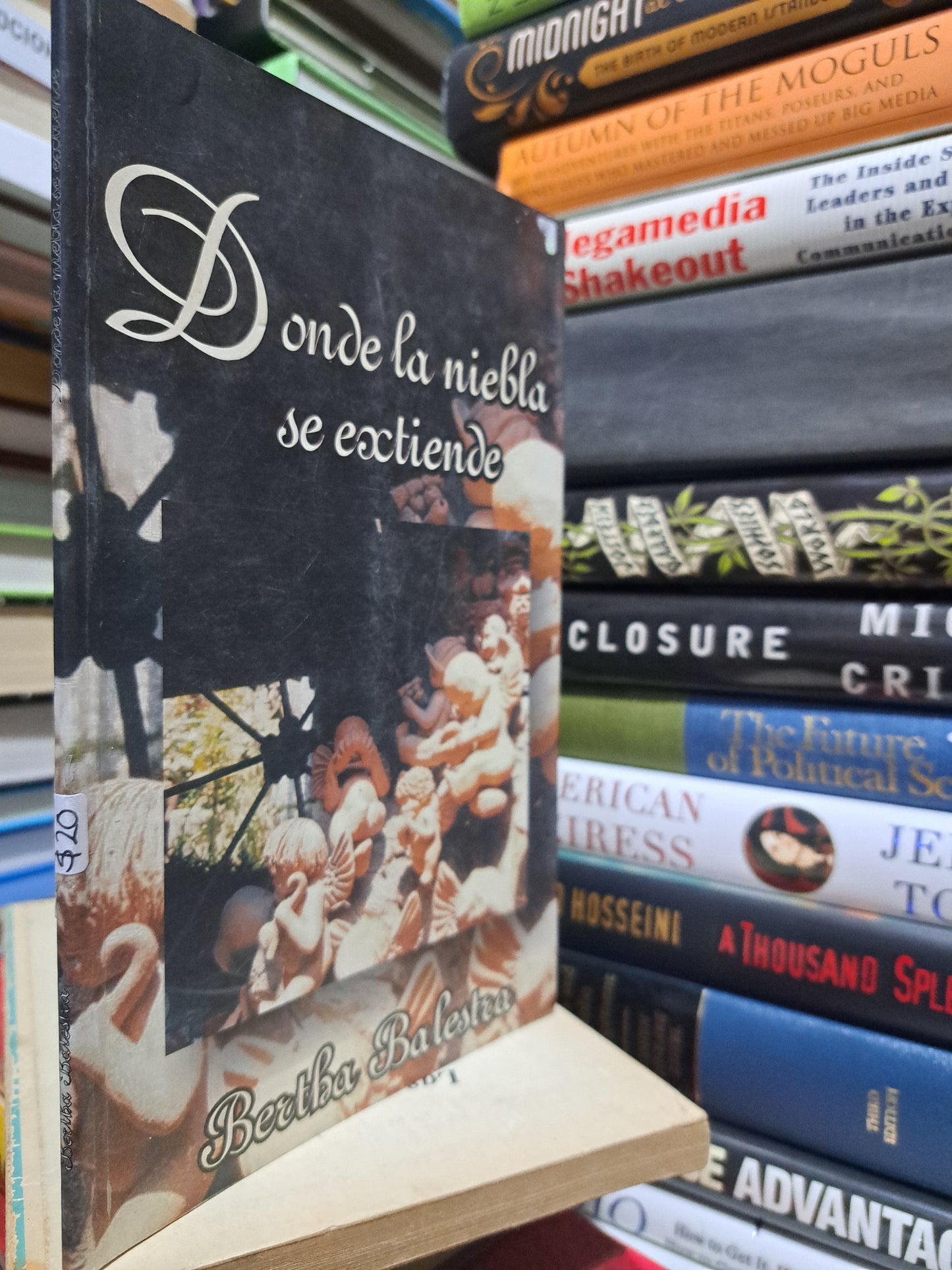 DONDE LA NIEBLA SE EXTIENDE BERTHA BALESTRA USADO NOVELA JUÁREZ