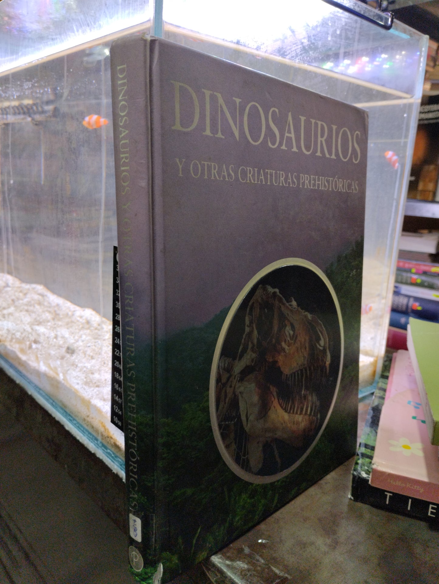 DINOSAURIO Y OTRAS CREATURAS PREHISTORICAS USADO INFANTIL ALDAMA