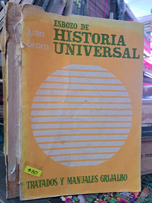 ESBOZO DE HISTORIA UNIVERSAL JUAN BROM USADO HISTORIA LITERARIO 305