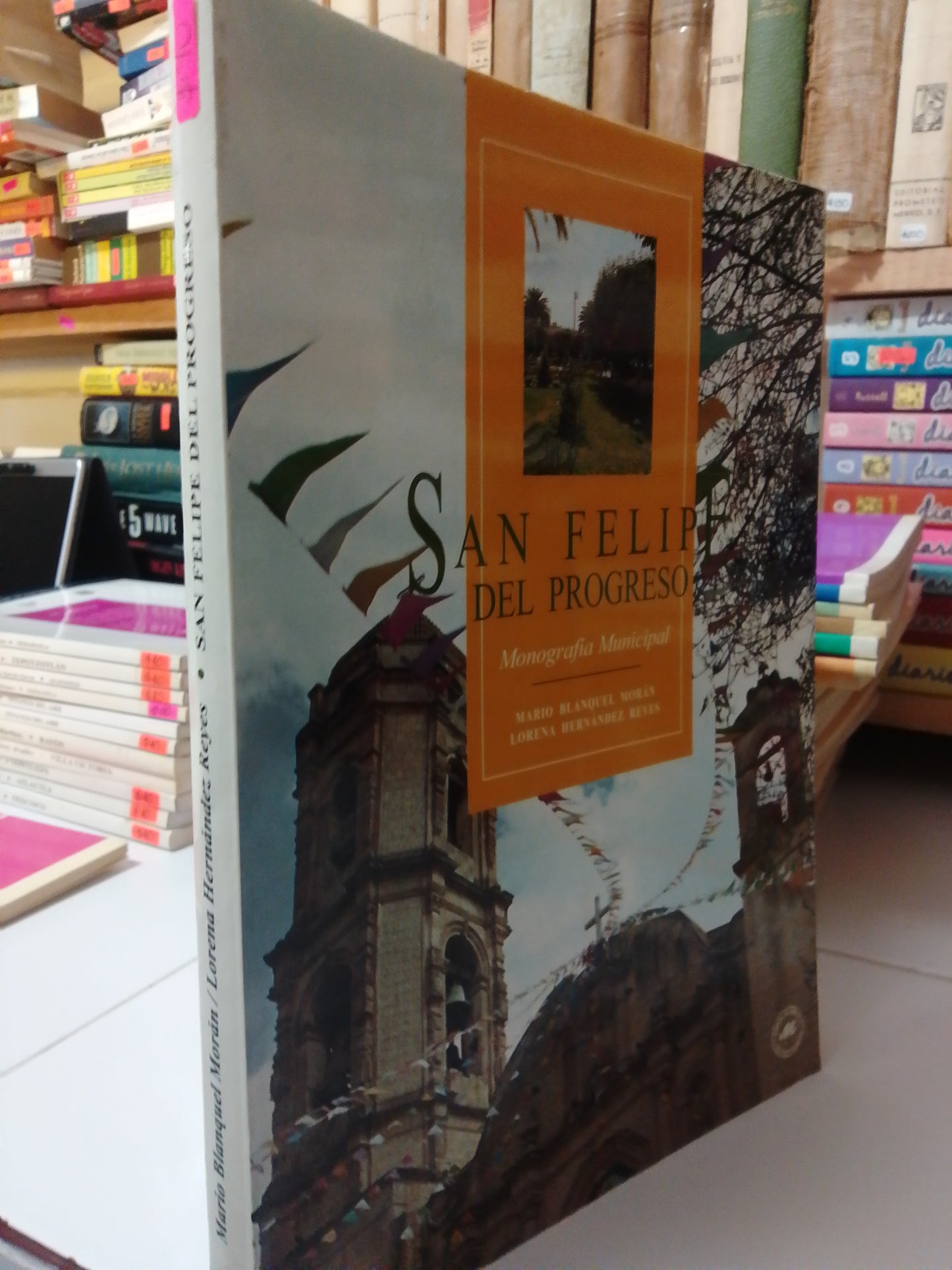 SAN FELIPE DEL PROGRESO MONOGRAFÍA MUNICIPAL USADO EDOMEX JUAREZ
