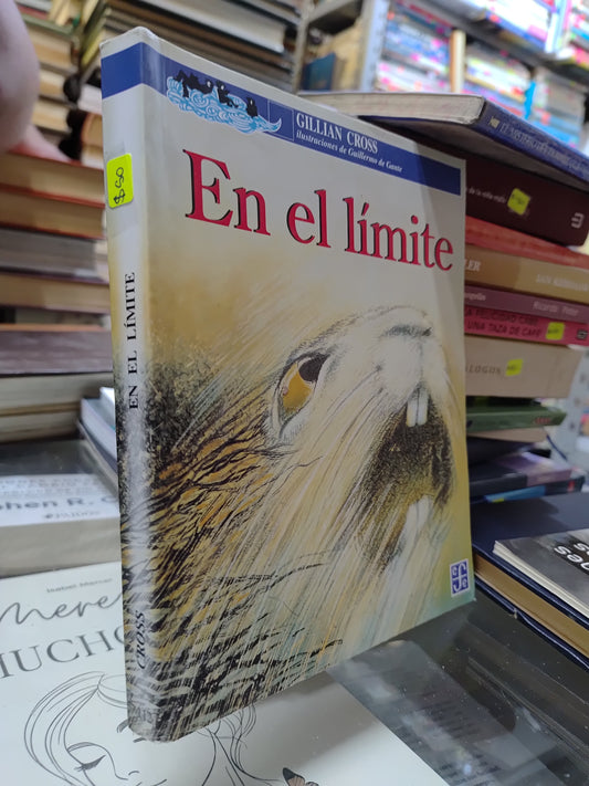 EN EL LIMITE POR GILLIAN CROSS USADO INFANTIL JUAREZ
