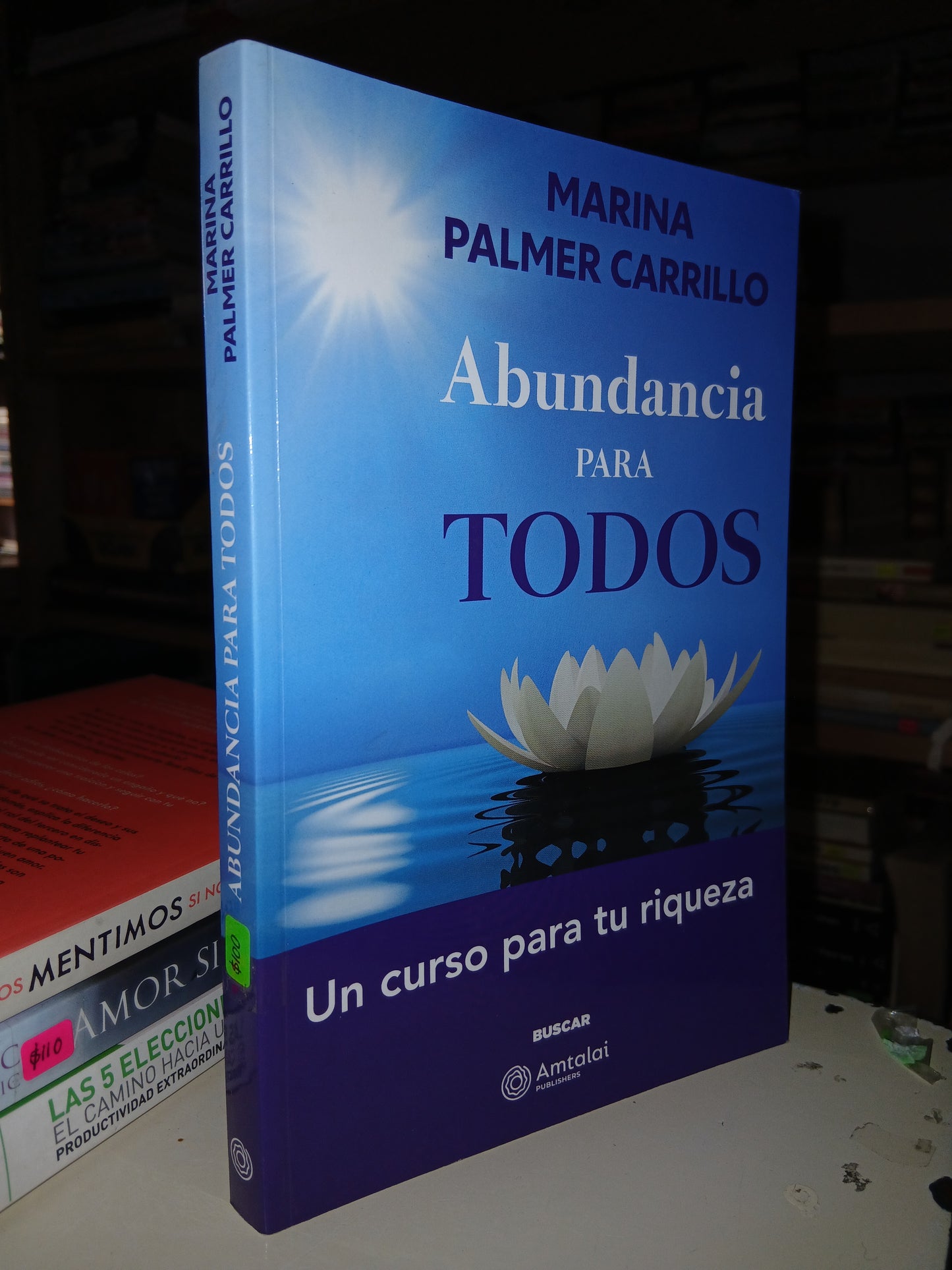 ABUNDANCIA PARA TODOS POR MARINA PALMER CARRILLO USADO SUPERACIÓN PERSONAL LITERARIO 207
