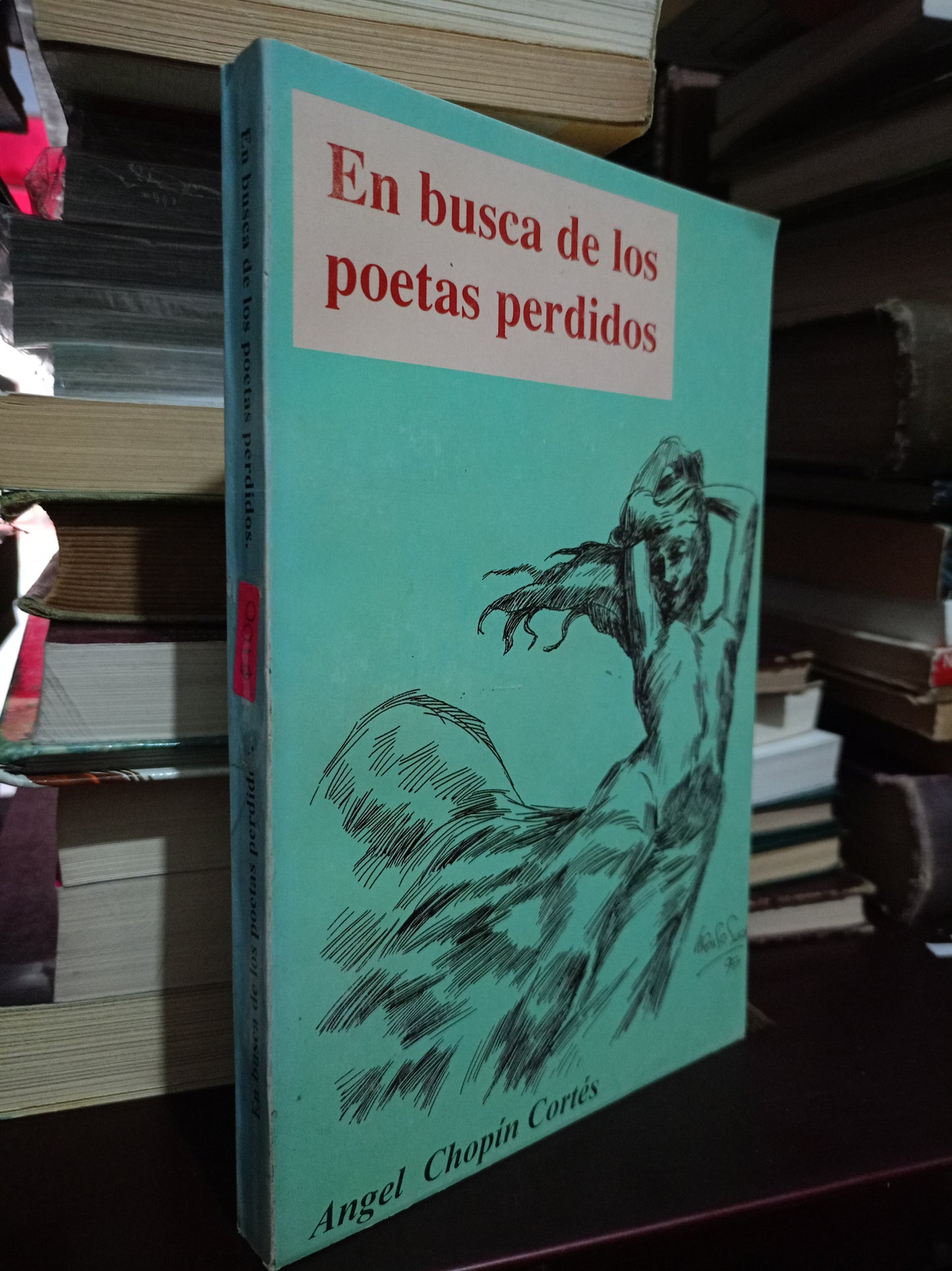 EN BUSCA DE LOS POETAS PERDIDOS POR ANGEL CHOPÍN CORTÉS USADO NOVELA LITERARIO 305