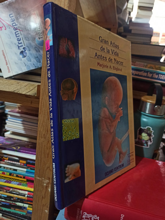 GRAN ATLAS DE LA VIDA ANTES DE NACER POR MARJORIE A. ENGLAND USADO SALUD ALDAMA