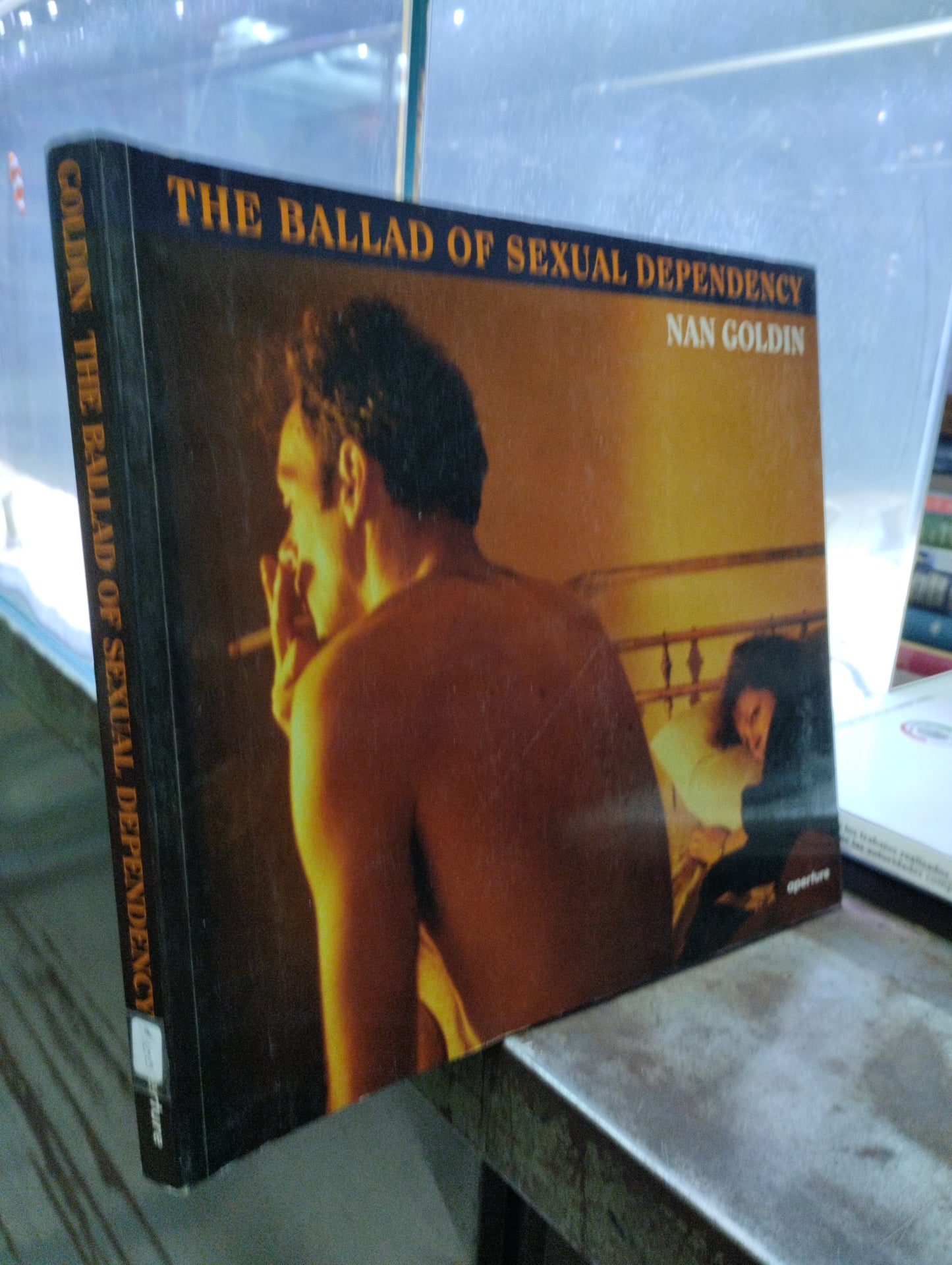 THE BALLAD OF SEXUAL DEPENDENCY OIR NAN GOLDIN  USADO ARTE ALDAMA