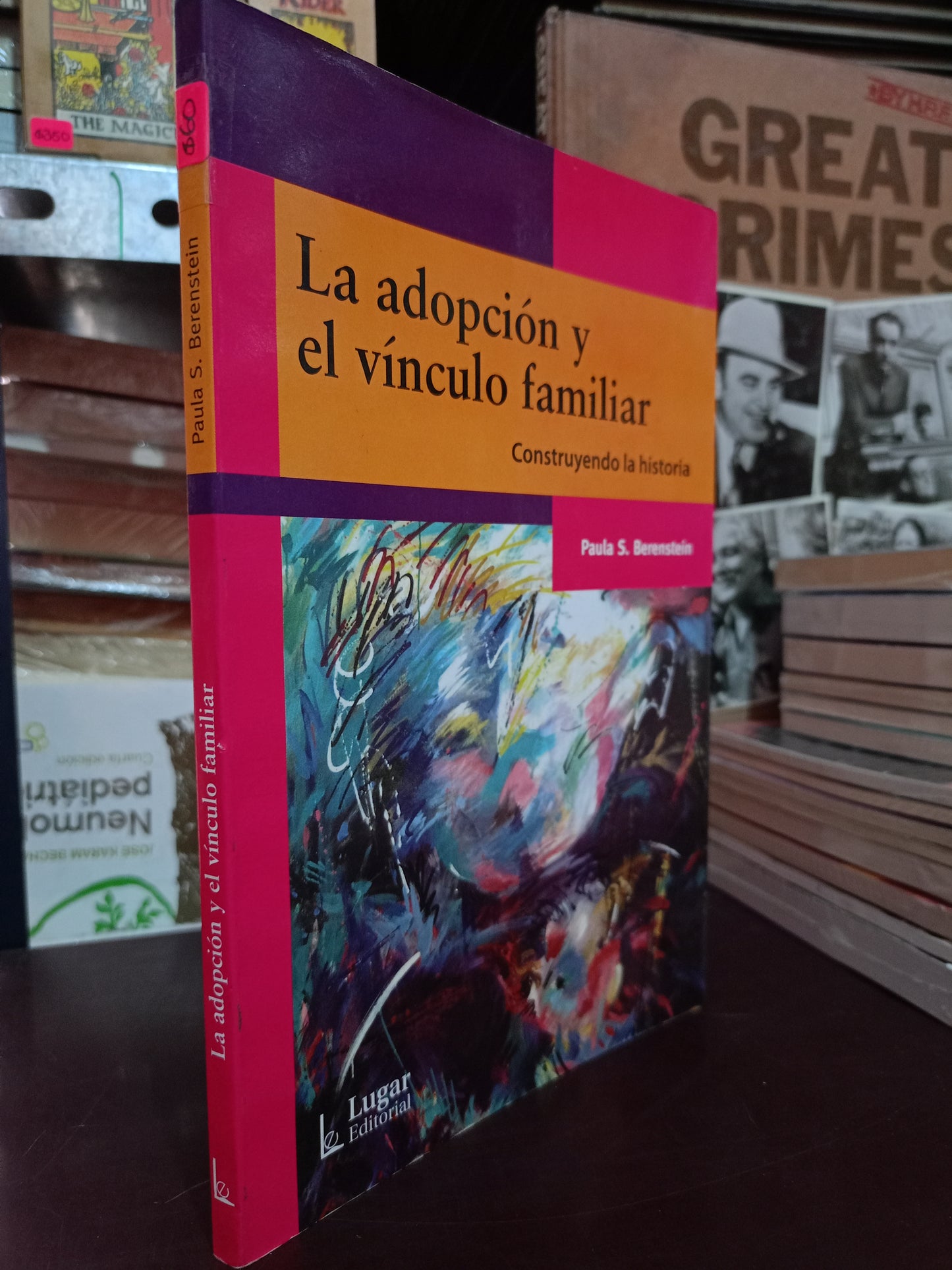 LA ADOPCIÓN Y EL VÍNCULO FAMILIAR POR PAULA S. BERENSTEIN USADO PSICOLOGÍA LITERARIO 305