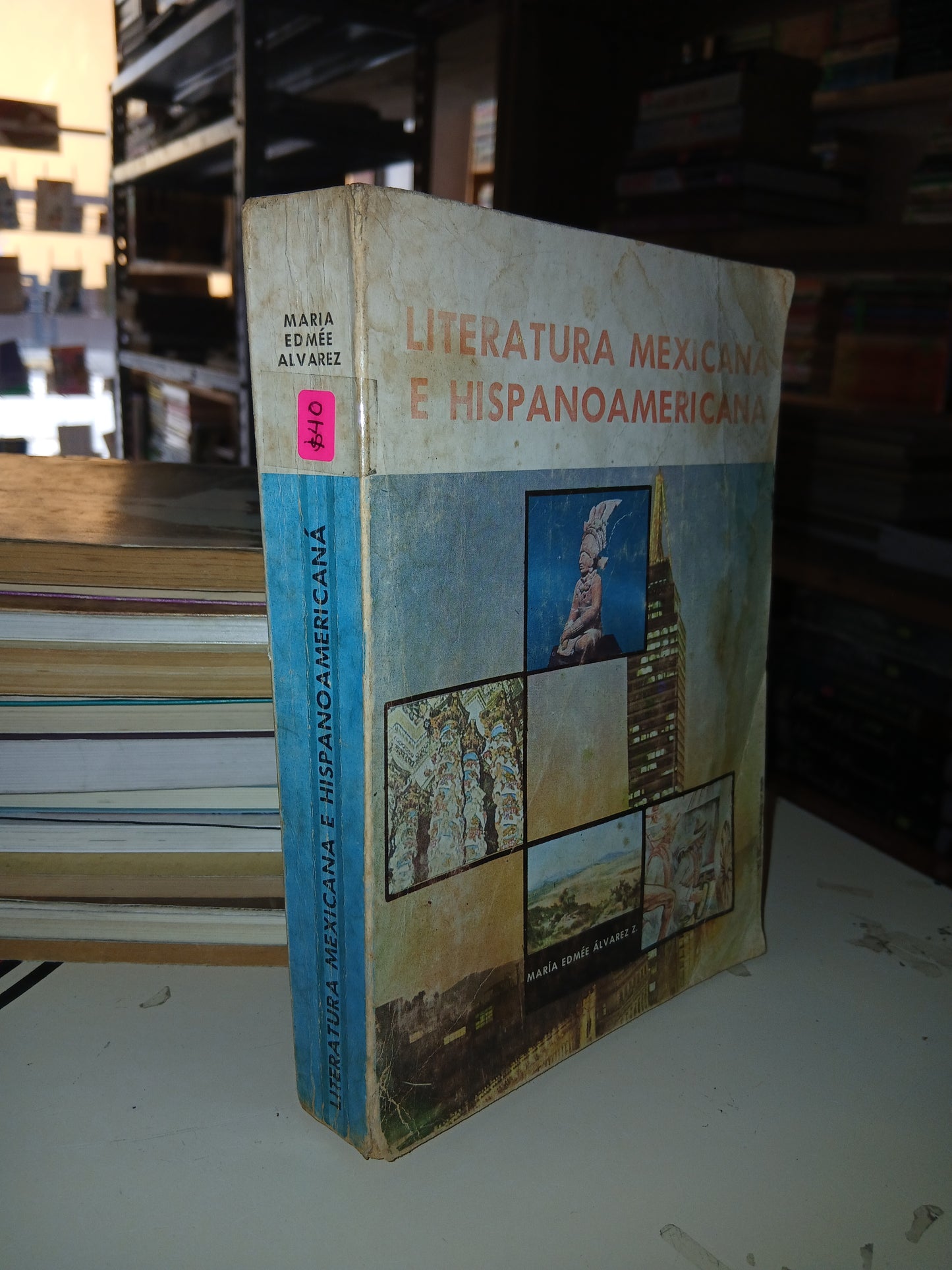LITERATURA MEXICANA E HISPANOAMERICANA POR MARÍA EDMÉE ÁLVAREZ Z. USADO NOVELA LITERARIO 207