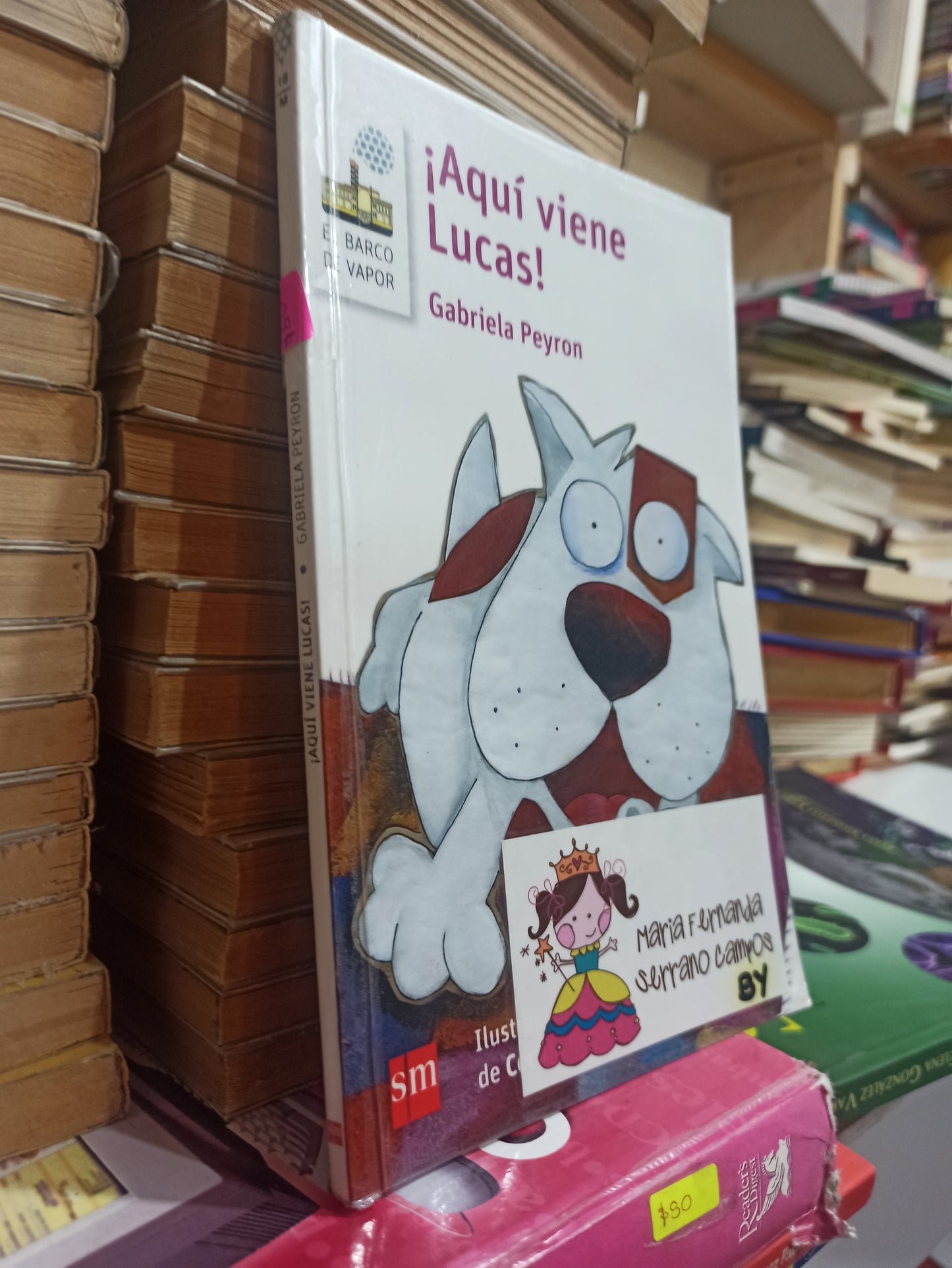 AQUI VIENE LUCAS POR GABRIELA RAYON USADO INFANTILES JUÁREZ