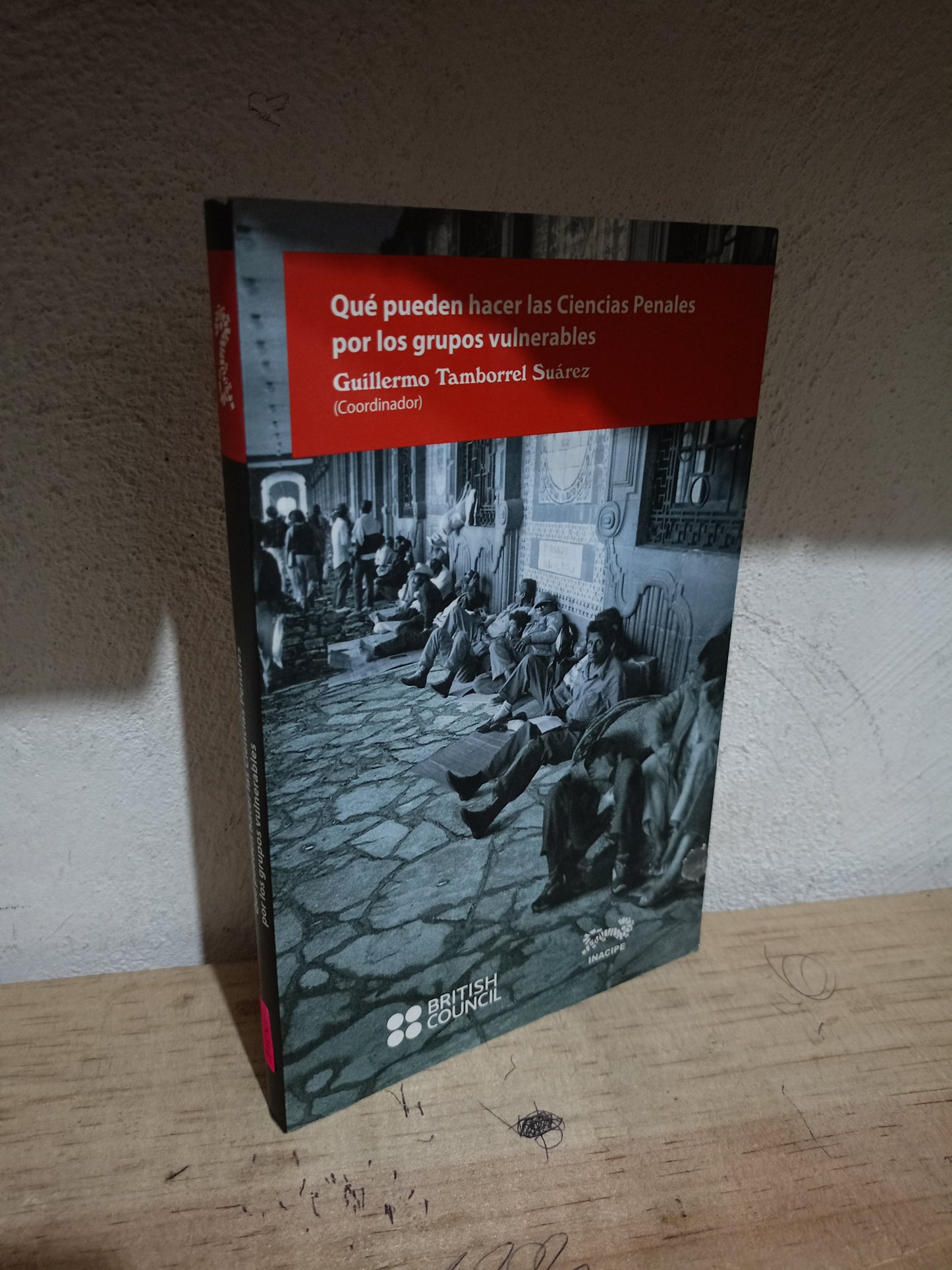 QUÉ PUEDEN HACER LAS CIENCIAS PENALES POR LOS GRUPOS VULNERABLES POR GUILLERMO TAMBORREL SUÁREZ USADO DERECHO LITERARIO 305