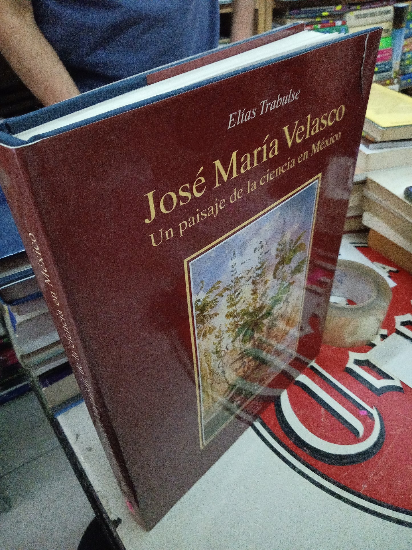 UN PAISAJE DE LA CIENCIA EN MEXICO POR JOSE MARIA VELASCO USADO ARTE LITERARIO 207