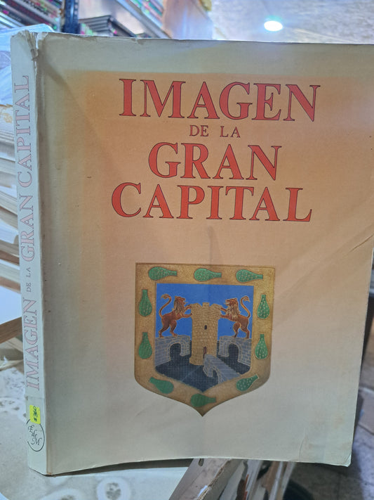IMAGEN DE LA GRAN CAPITAL USADO ESTADO DE MÉXICO ALDAMA