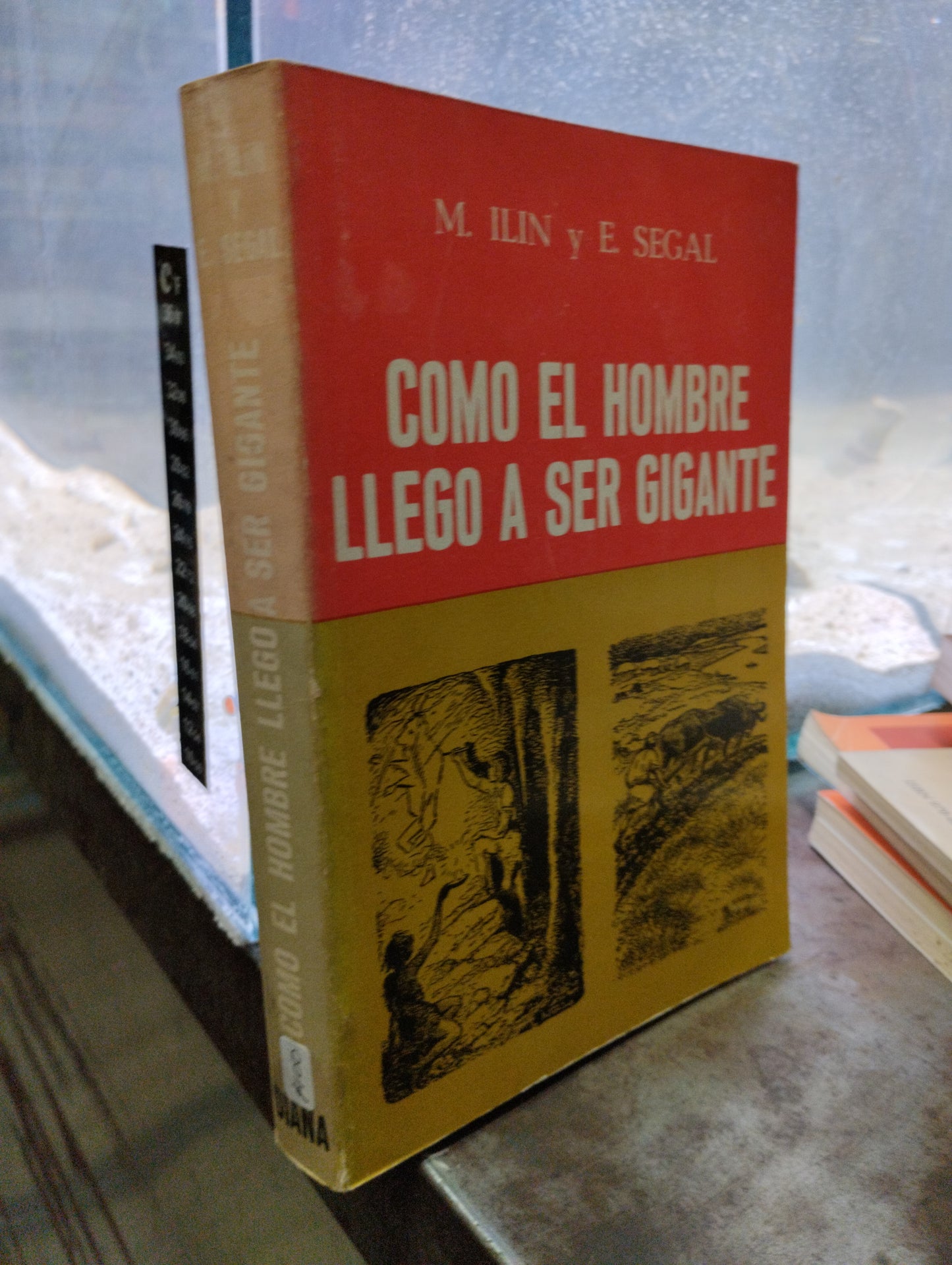 COMO EL HOMBRE LLEGO A SER GIGANTE POR M ILIN Y E SEGAL USADO NOVELAS ALDAMA