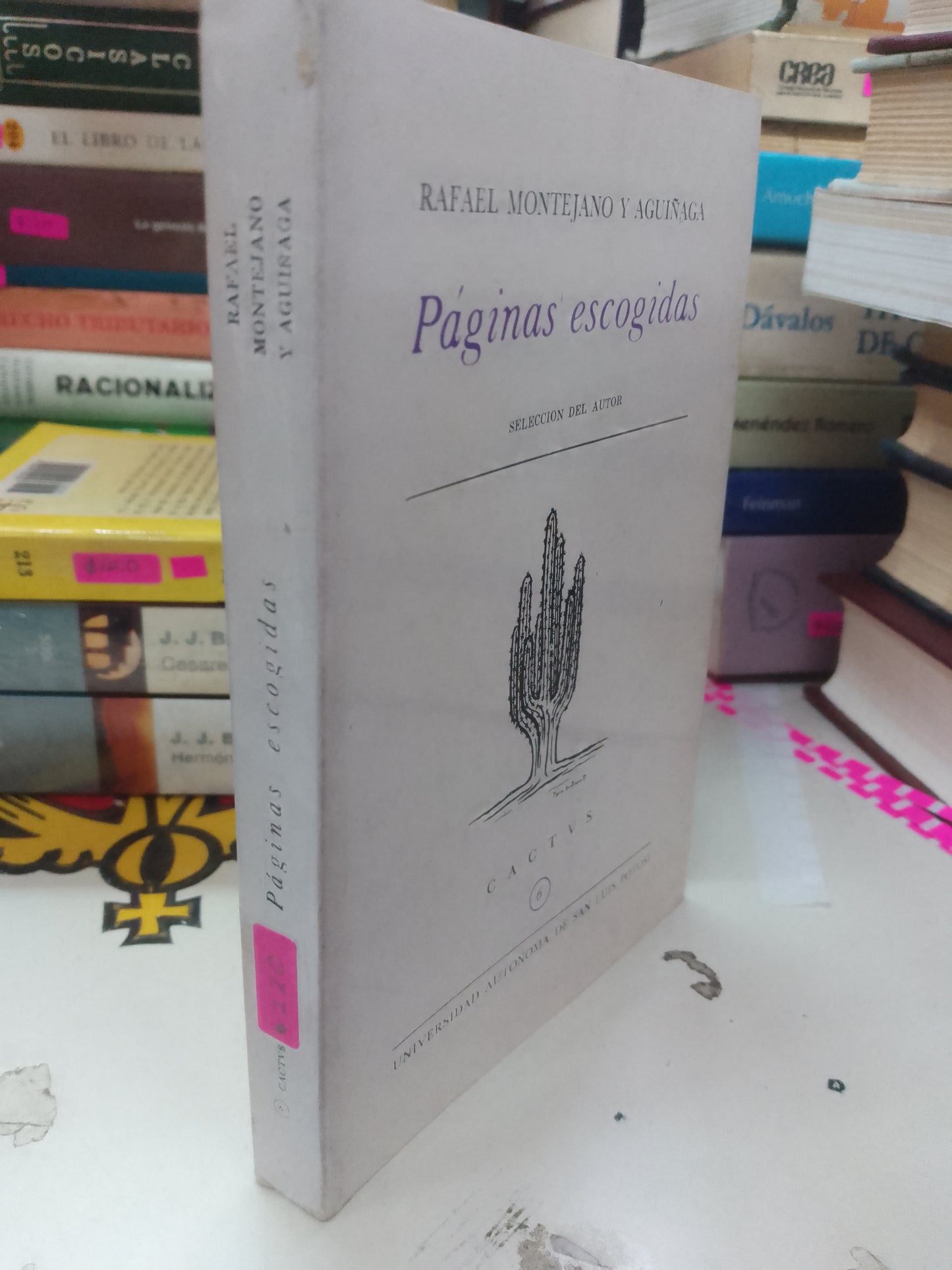 PAGINAS ESCOGIDAS POR RAFAEL MONTEJANO Y AGUIÑAGA USADO NOVELAS LITERARIO 207