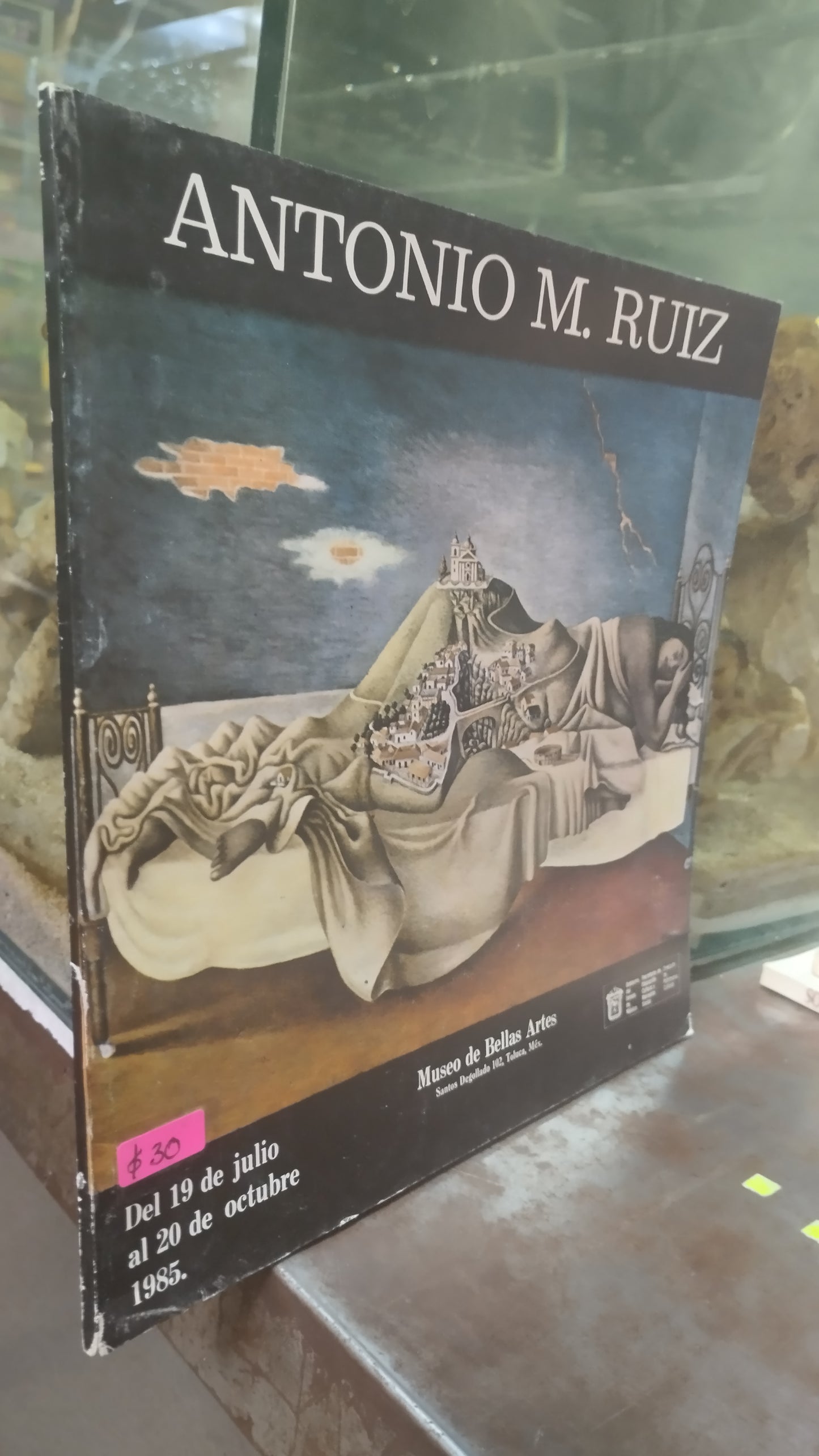 ANTONIO M RUIZ LIBRO USADO ARTES ALDAMA