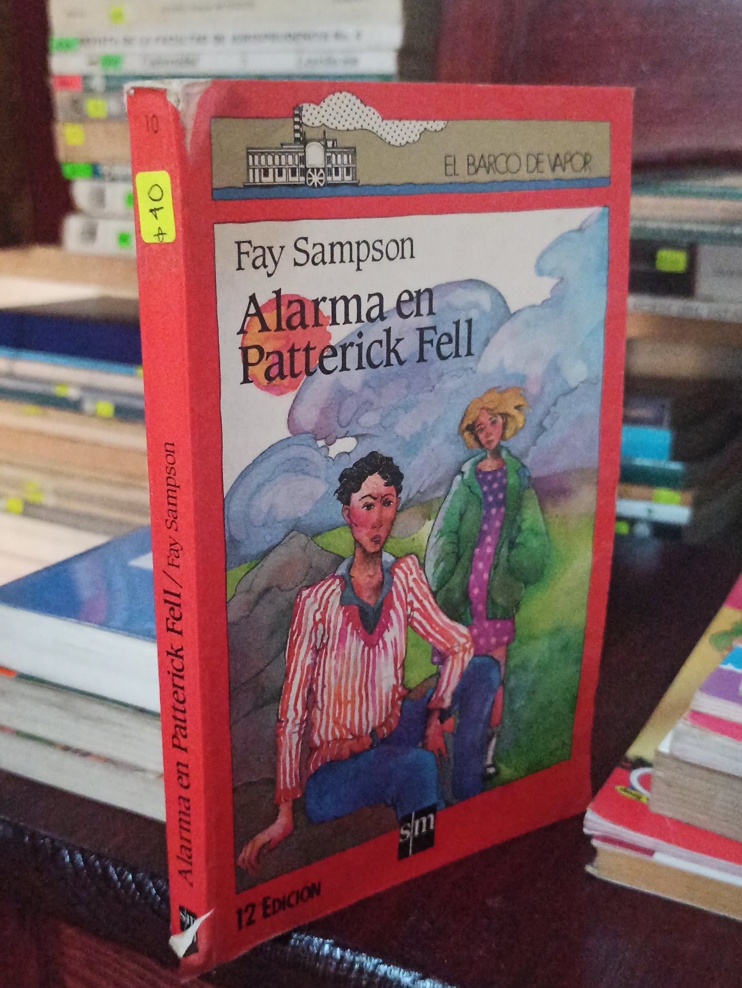 ALARMA EN PATTERICK FELL POR FAY SAMPSON USADO INFANTILES LITERARIO 207
