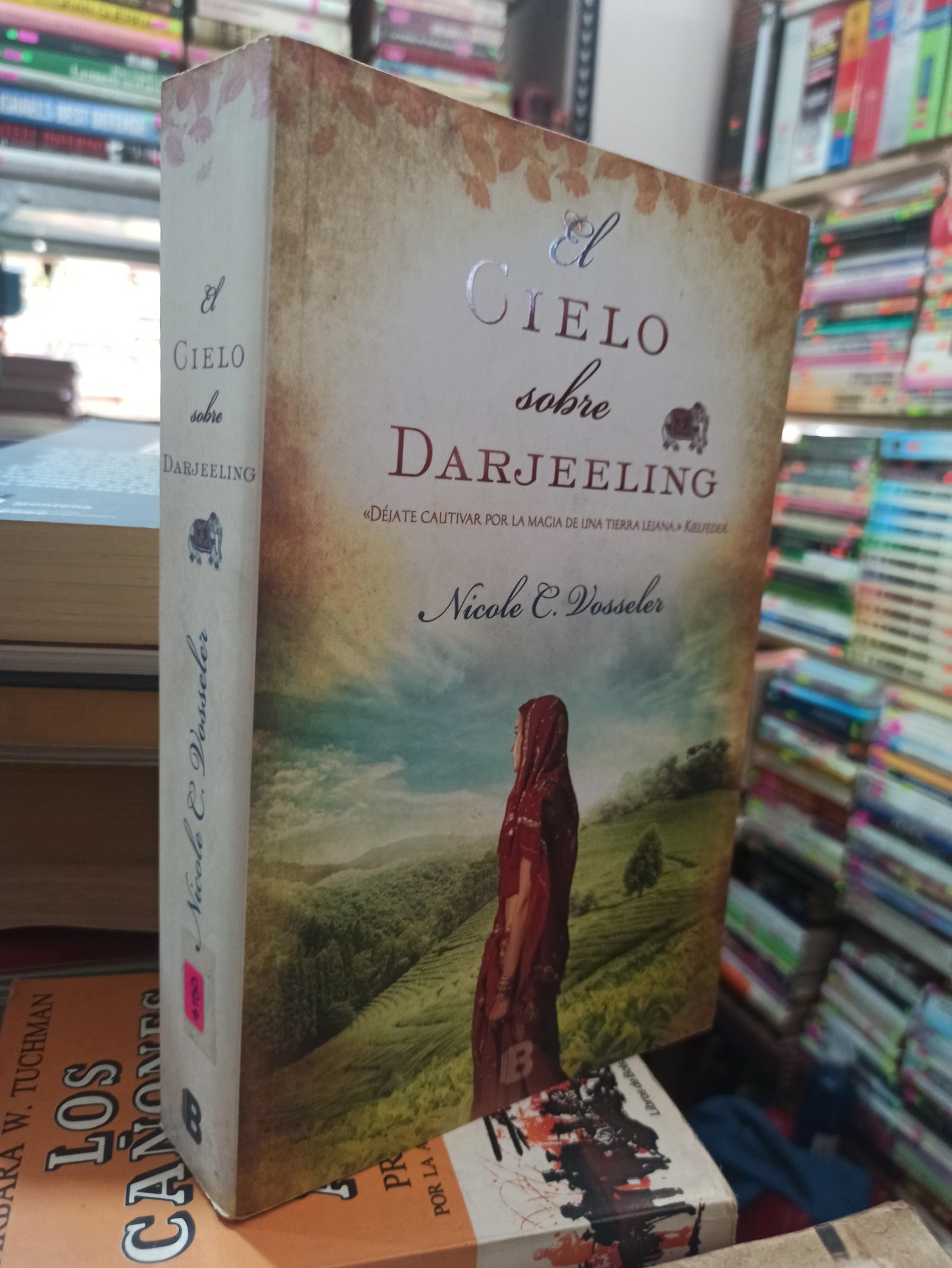 EL CIELO SOBRE DARJEELING POR NICOLE C. VOSSELES USADO NOVELAS ALDAMA