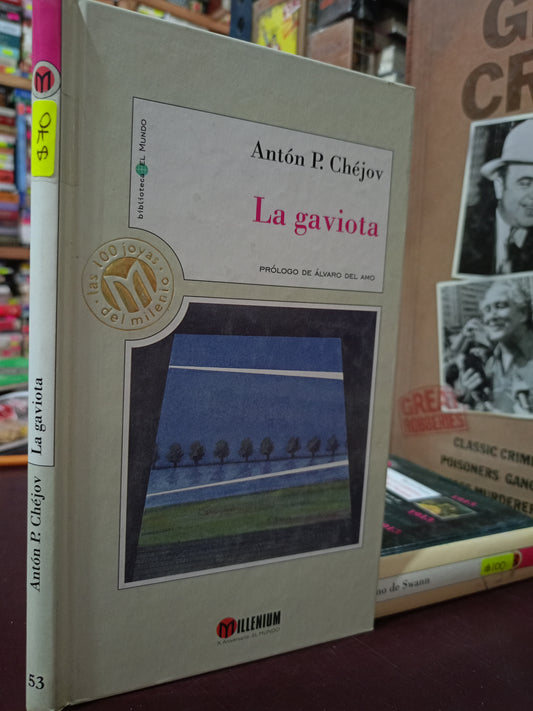 LA GAVIOTA ANTÓN P.CHÉJOV USADO NOVELA LITERARIO 305