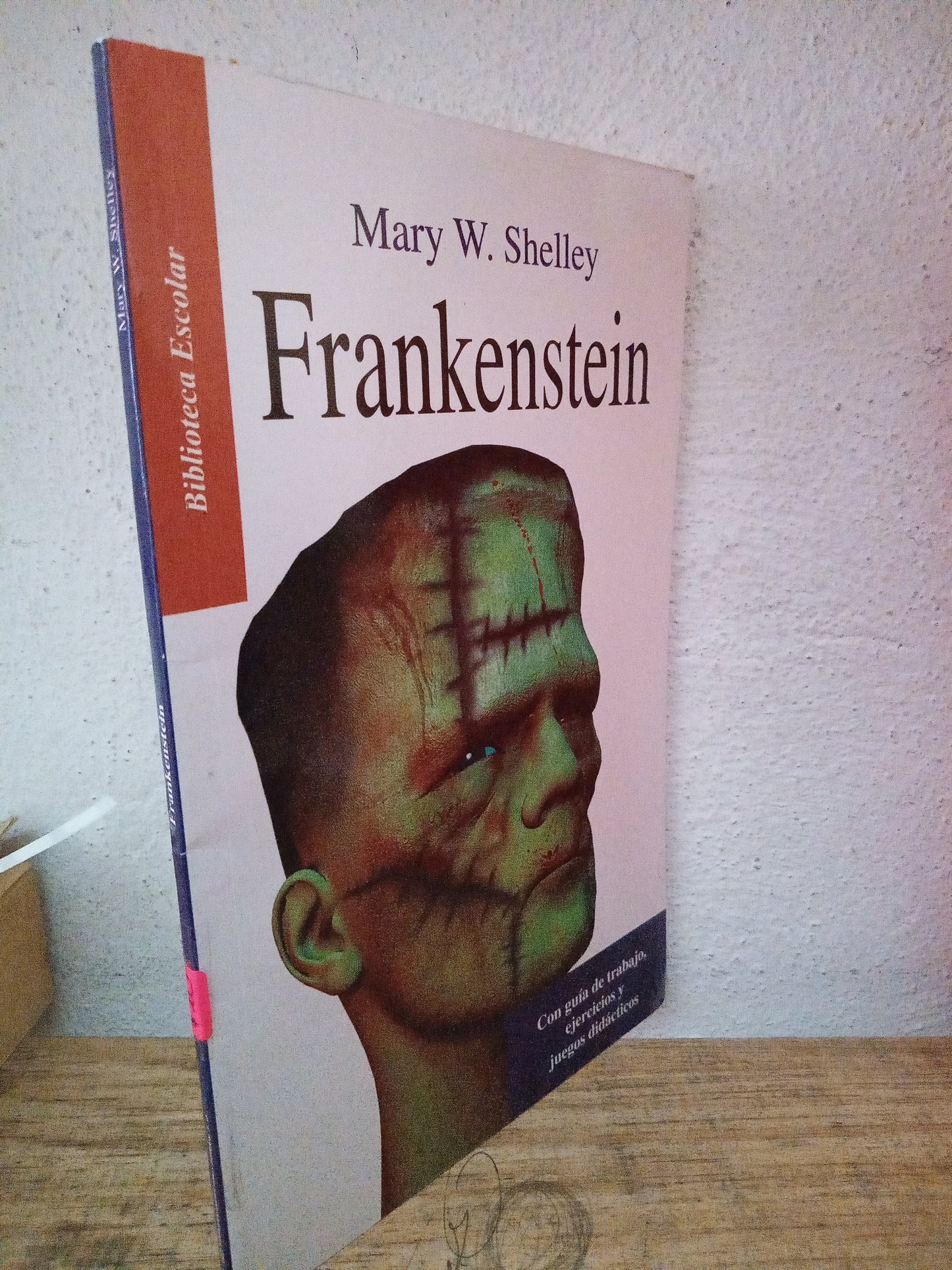 FRANKENSTEIN MARY W. SHELLEY USADO INFANTIL LITERARIO 305