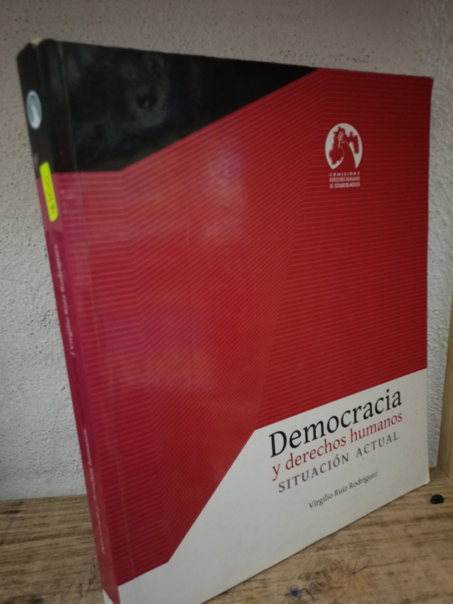 DEMOCRACIA Y DERECHOS HUMANOS SITUACIÓN ACTUAL POR VIRGILIO RUIZ RODRÍGUEZ USADO DERECHO LITERARIO 305