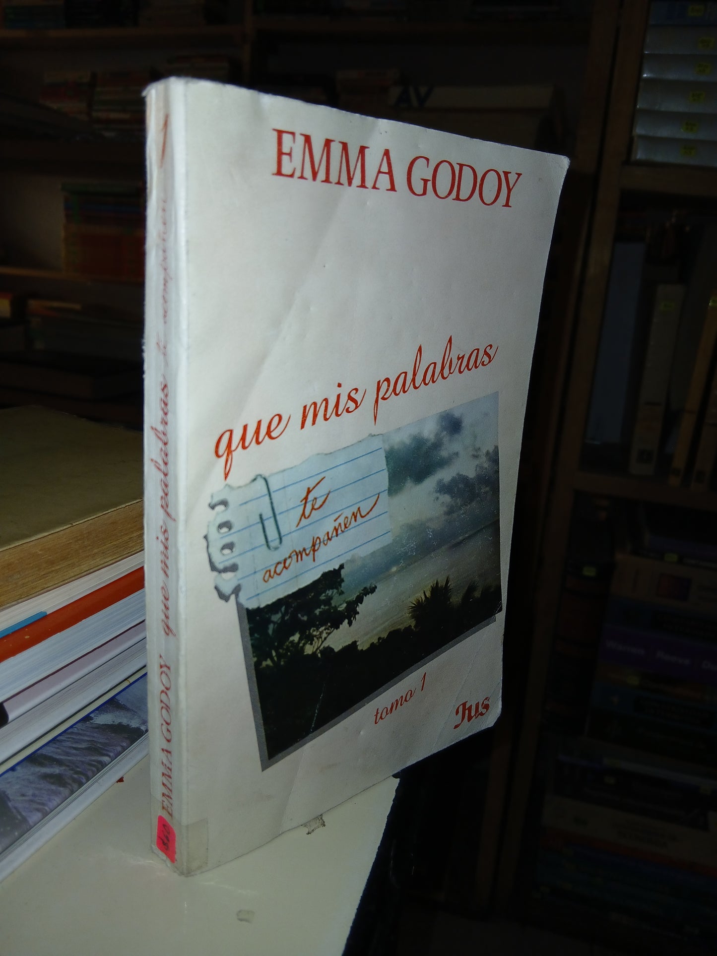 QUE MIS PALABRAS TE ACOMPAÑEN TOMO 1 POR EMMA GODOY USADO SUPERACIÓN PERSONAL LITERARIO 207