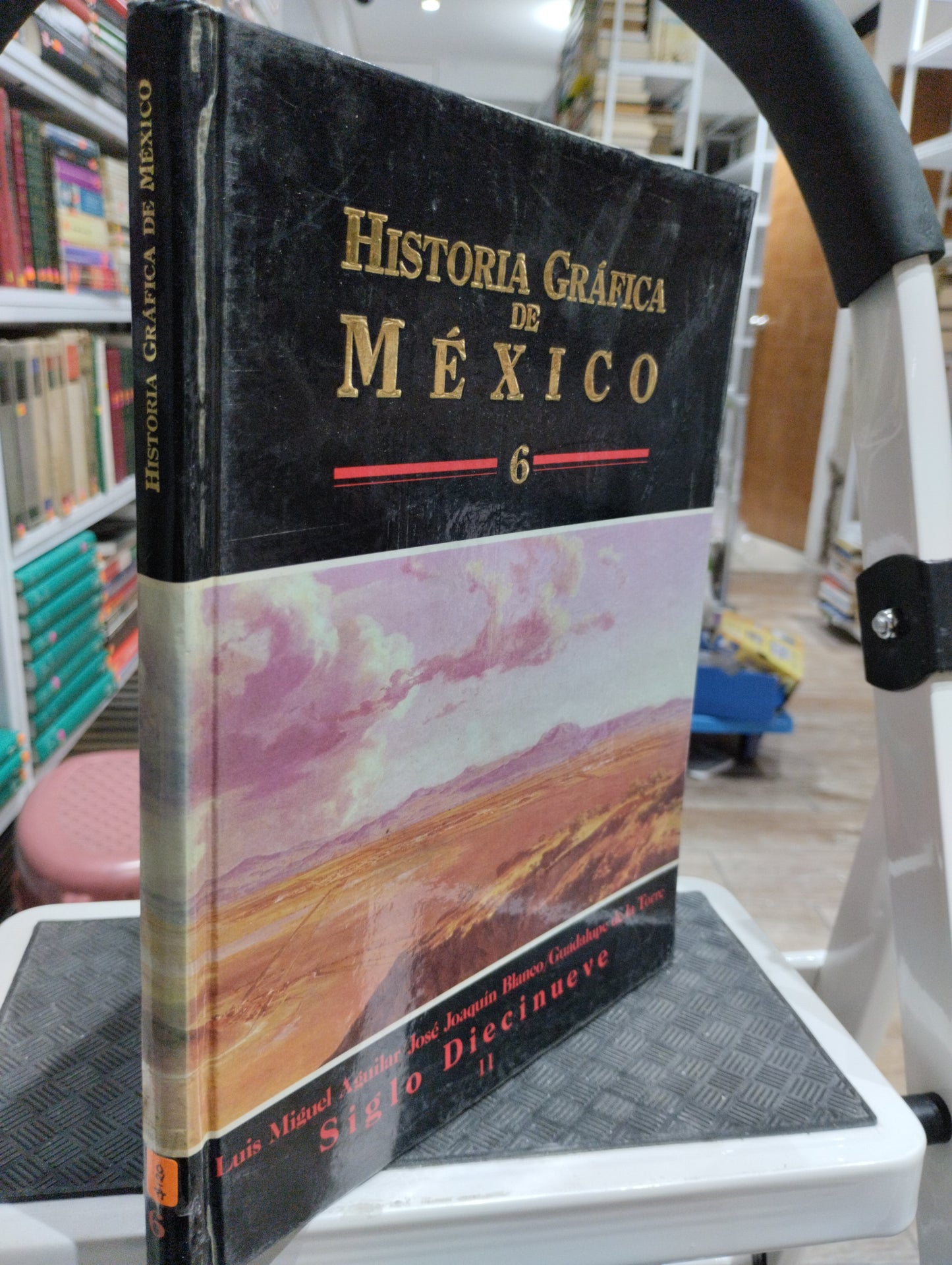 HISTORIA GRAFICA DE MEXICO 5 SIGLO DIECINUEVE II POR LUIS MIGUEL AGUILAR JOSE JOAQUIN BLANCO GUADALUPE DE LA TORRE USADO HISTORIA JUAREZ 515